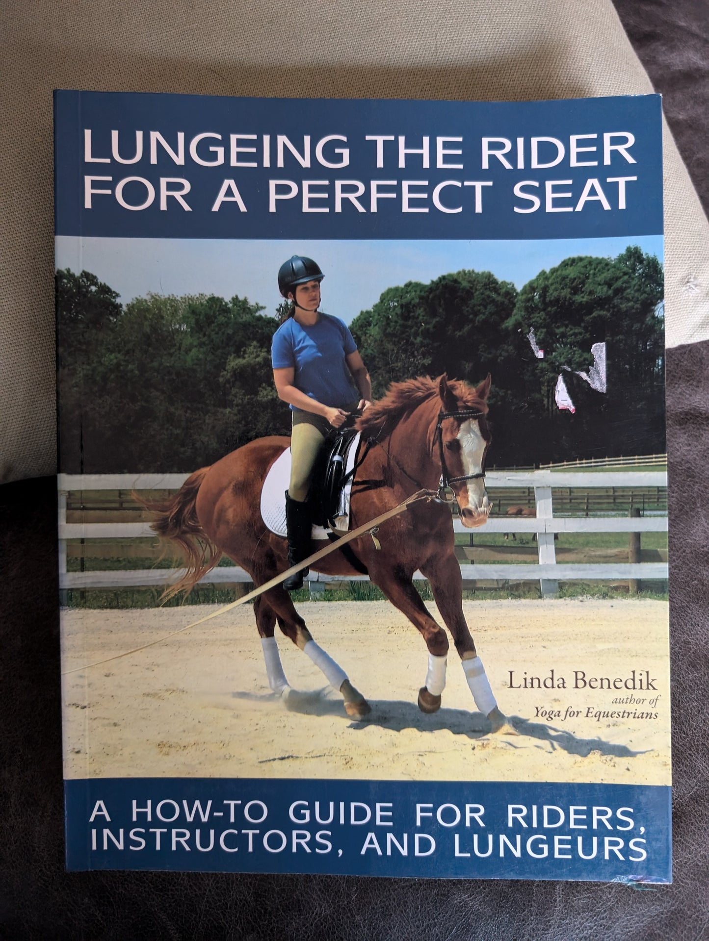 Lunging the Rider for a Perfect Seat