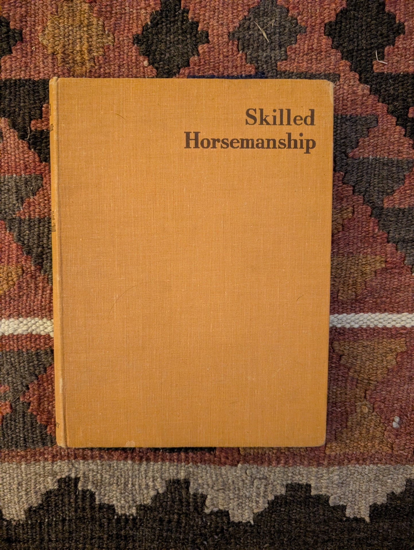 Skilled Horsemanship