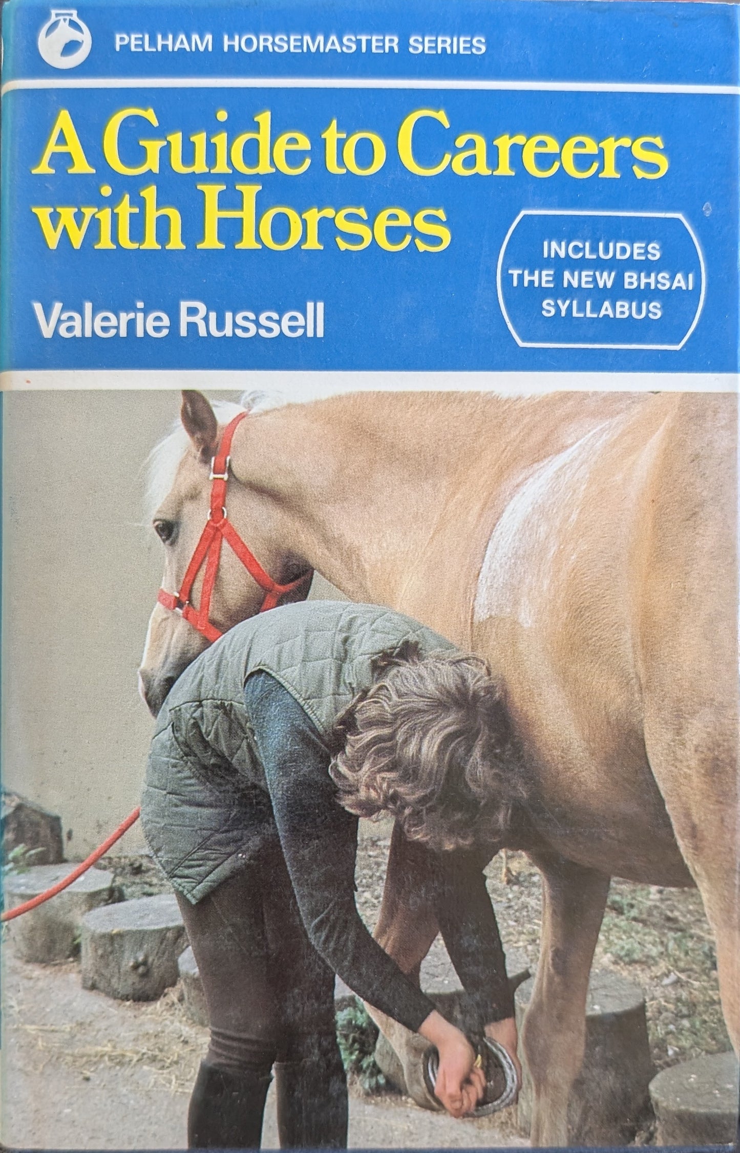 A Guide to a Career with Horses