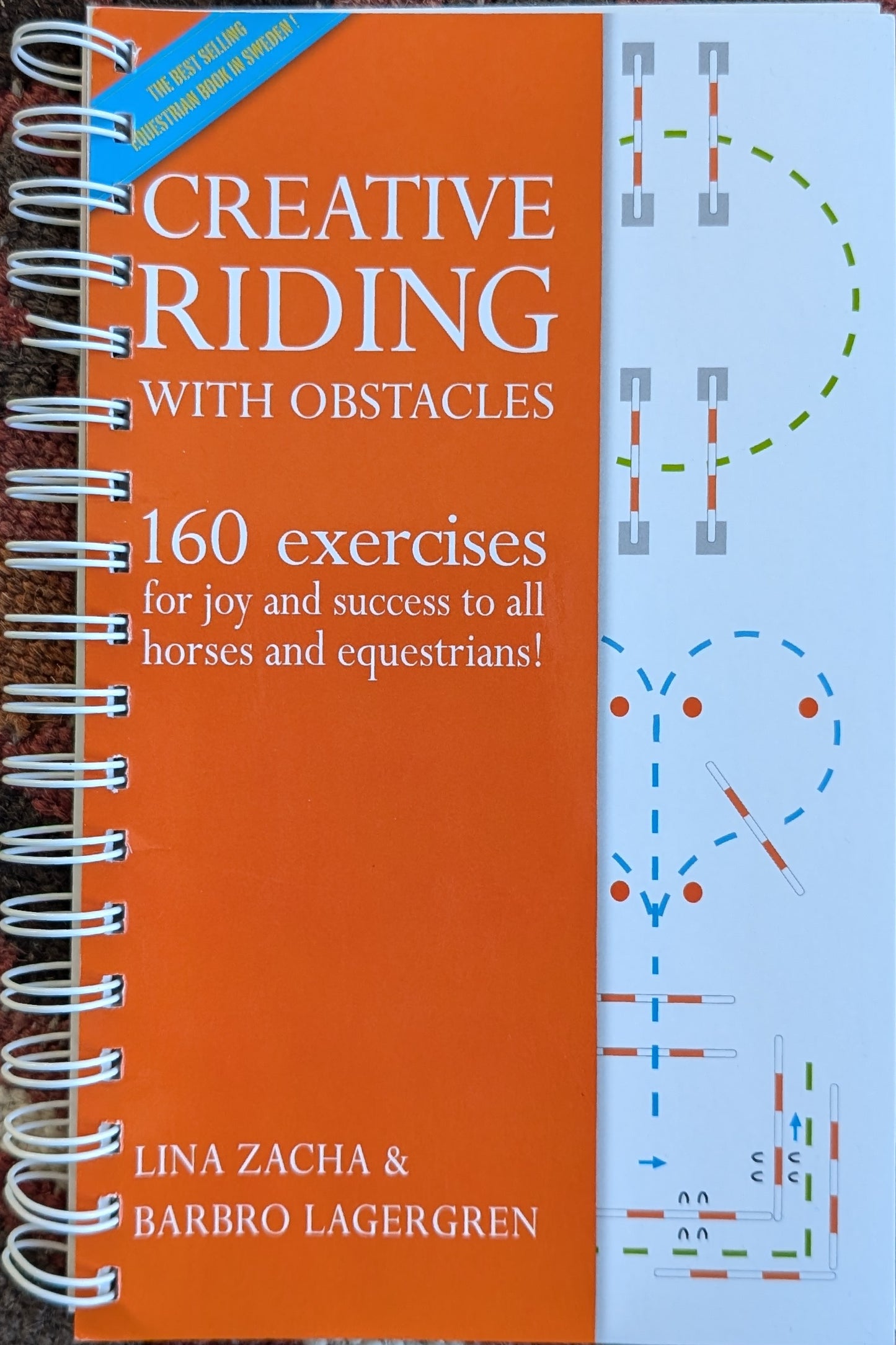 Creative Riding with Obstacles