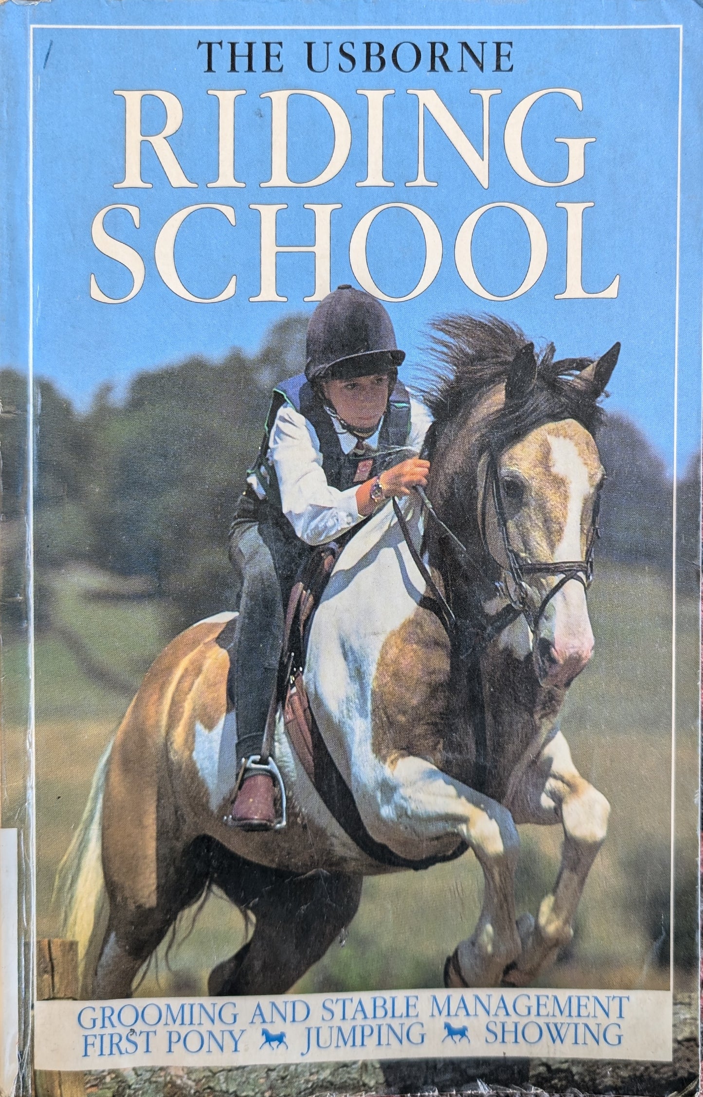 The Usborne Riding School