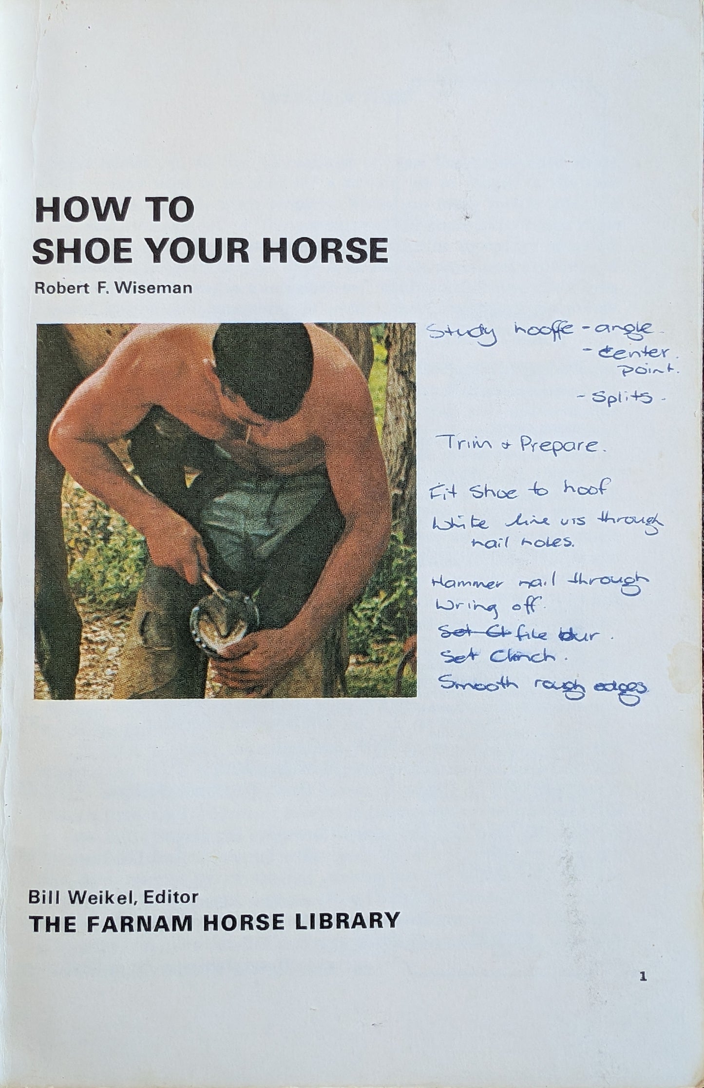 How to Shoe your Horse