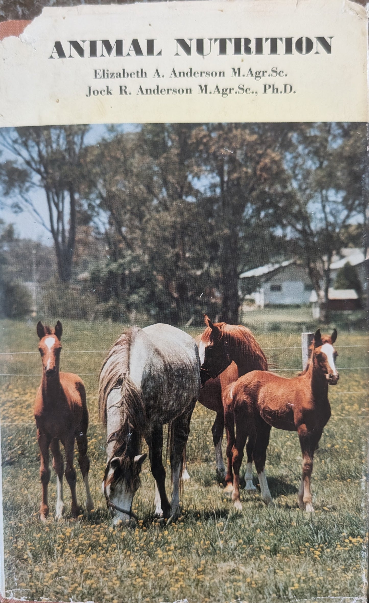 Animal Nutrition
