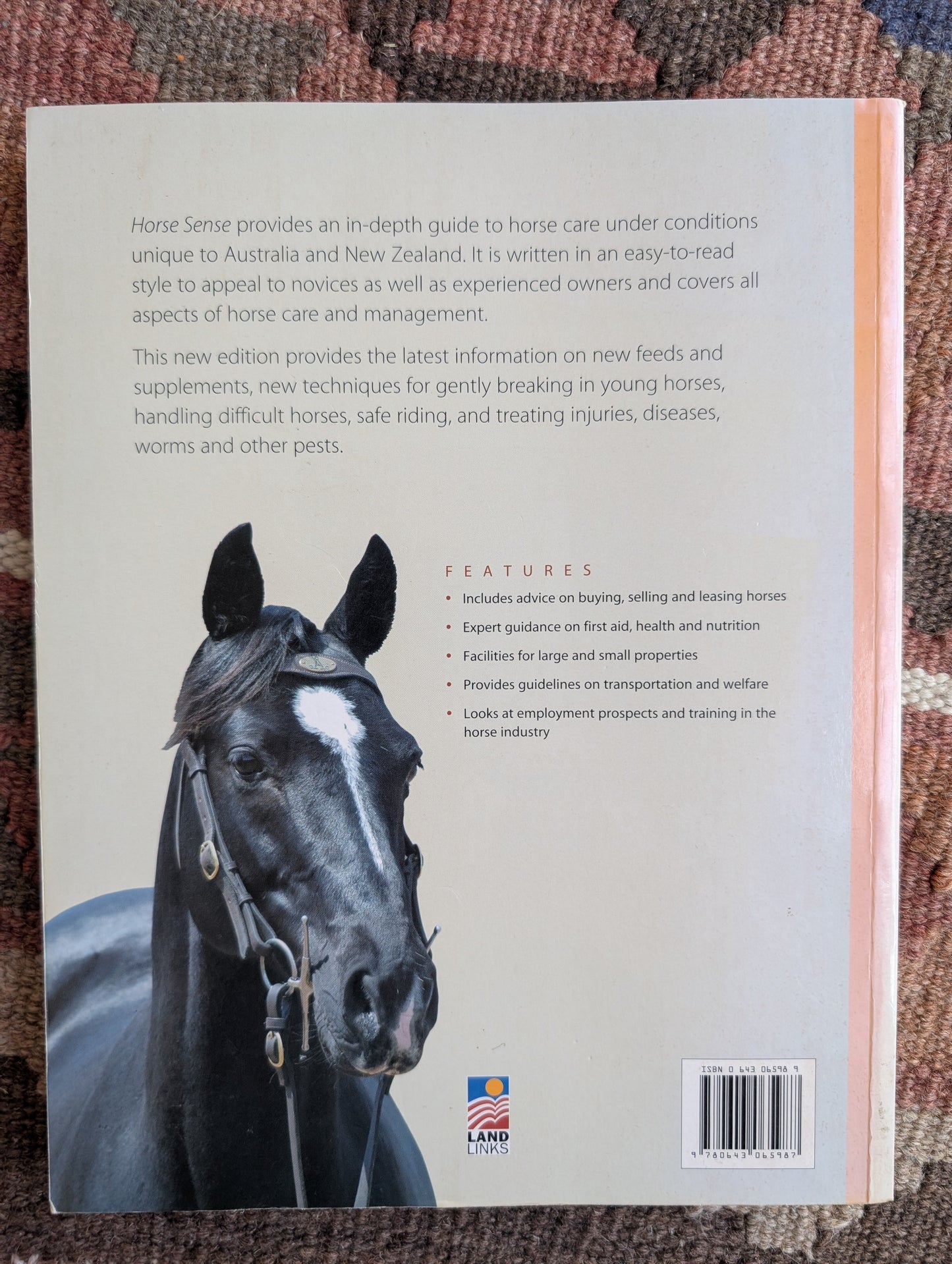 Horse Sense