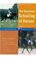 The Structured Schooling of Horses