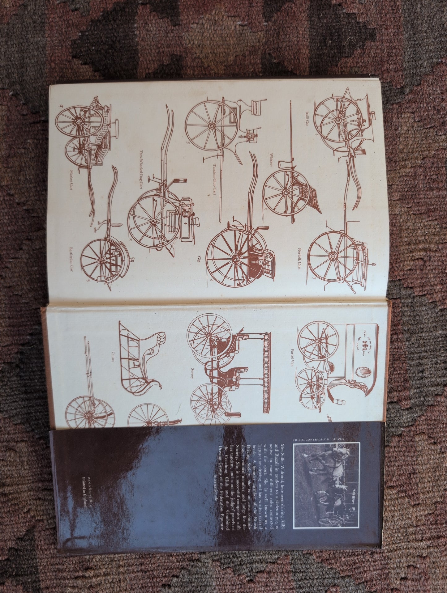 The Encyclopedia of Driving
