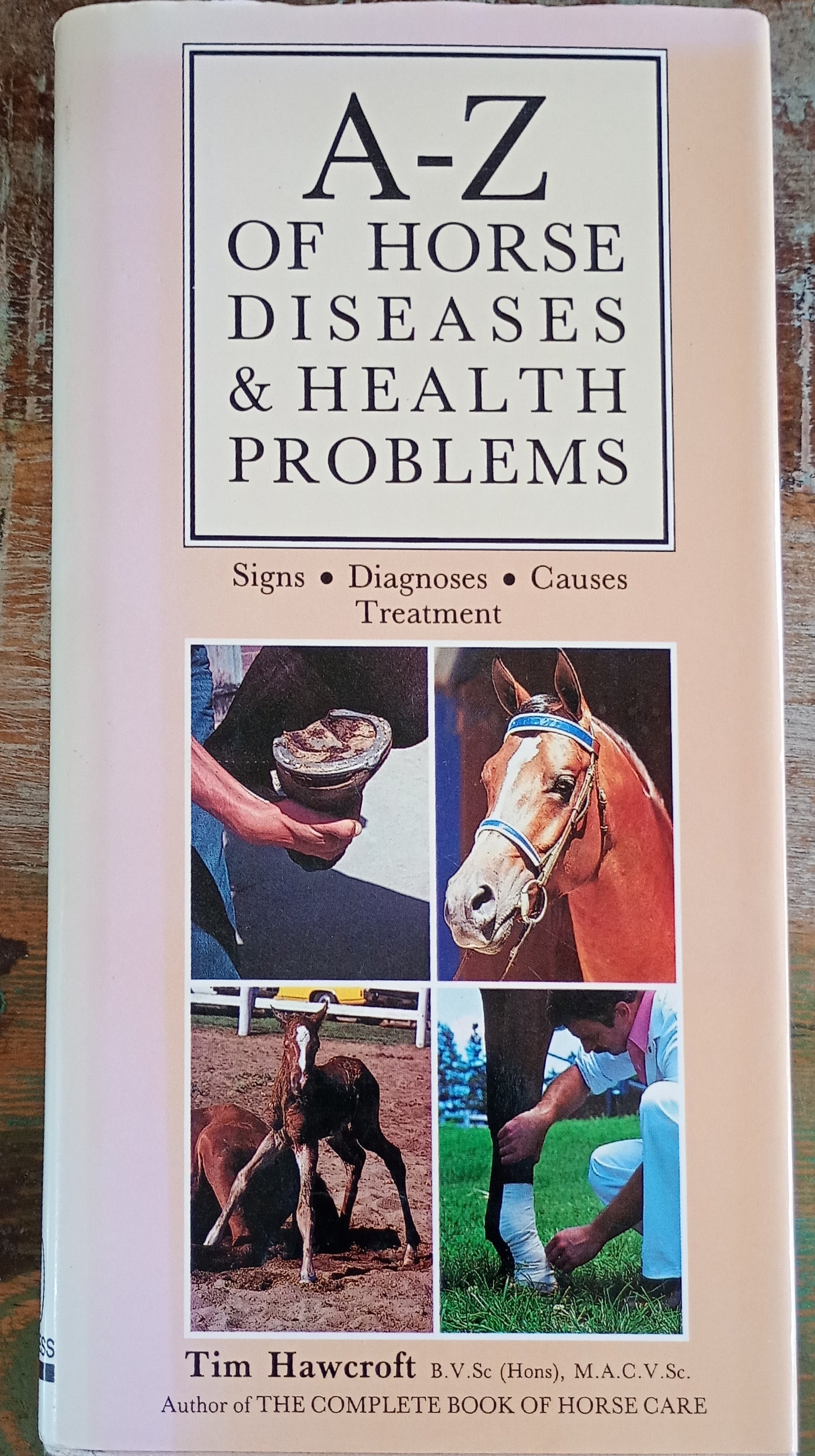 A-Z of Horse Diseases & Health Problems