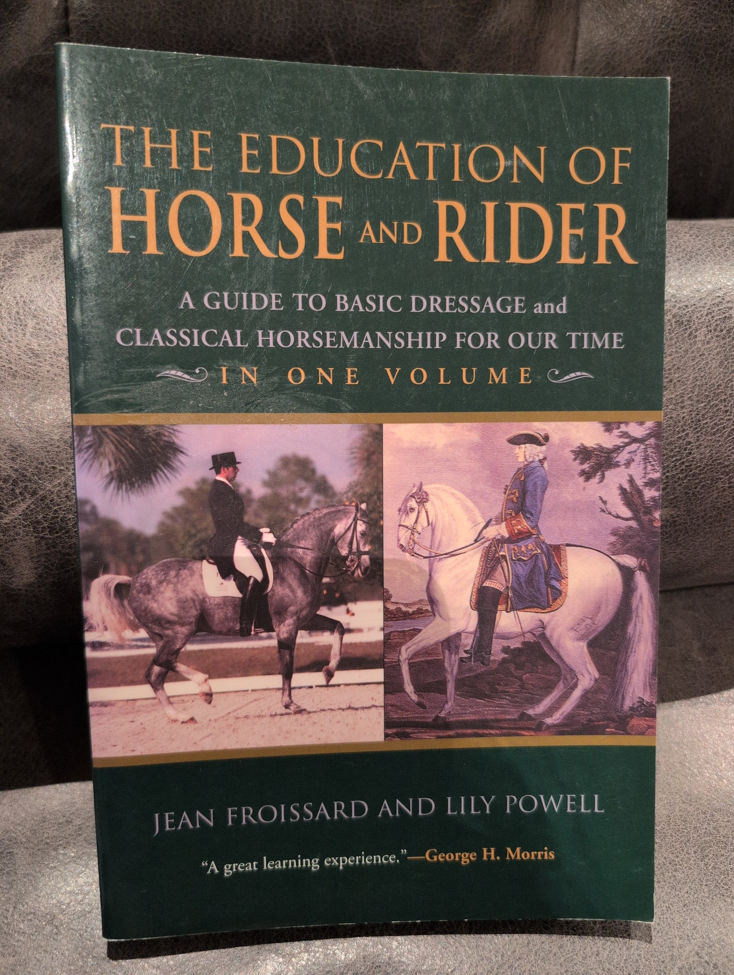The Education of Horse and Rider