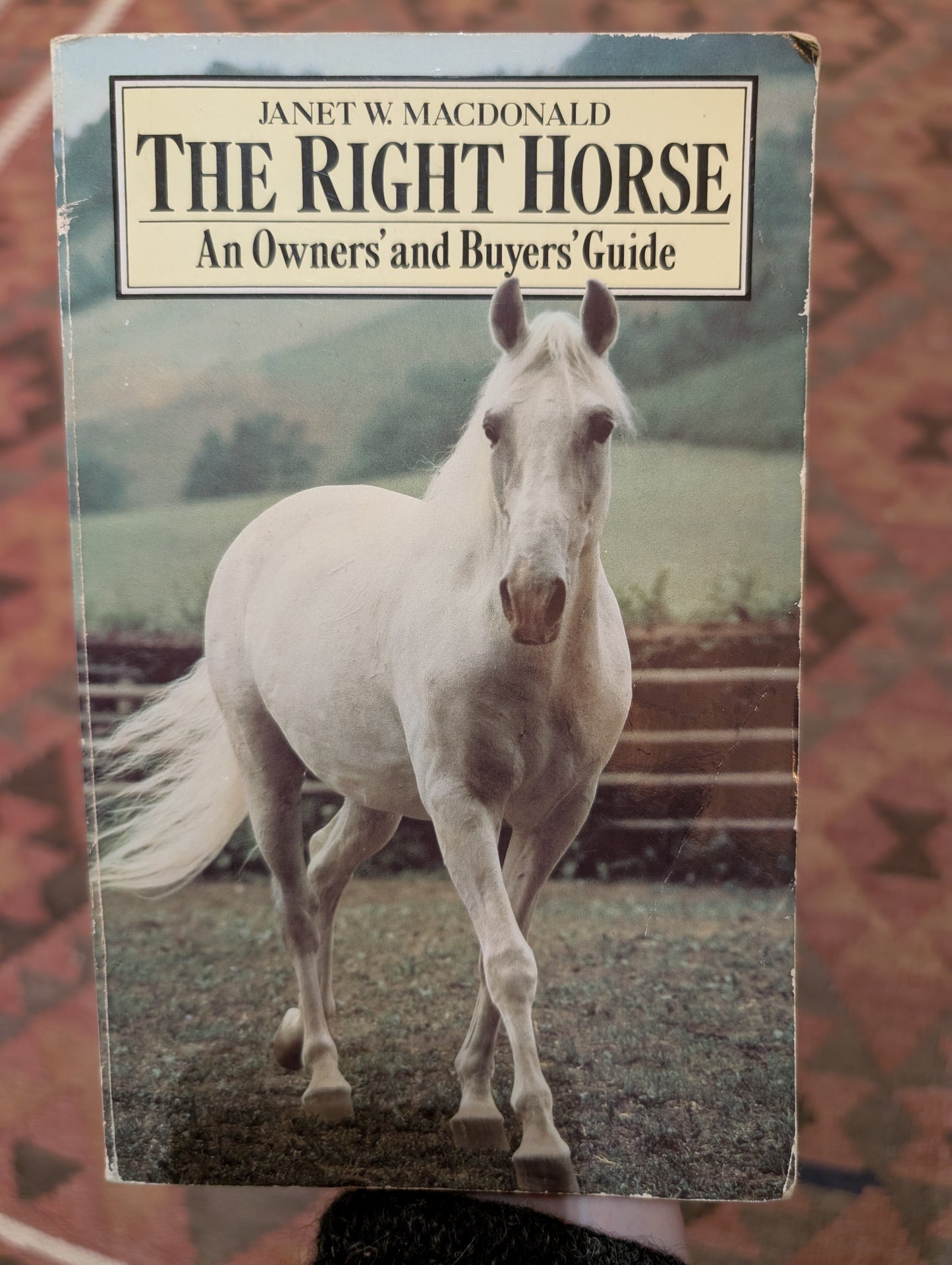 The Right Horse