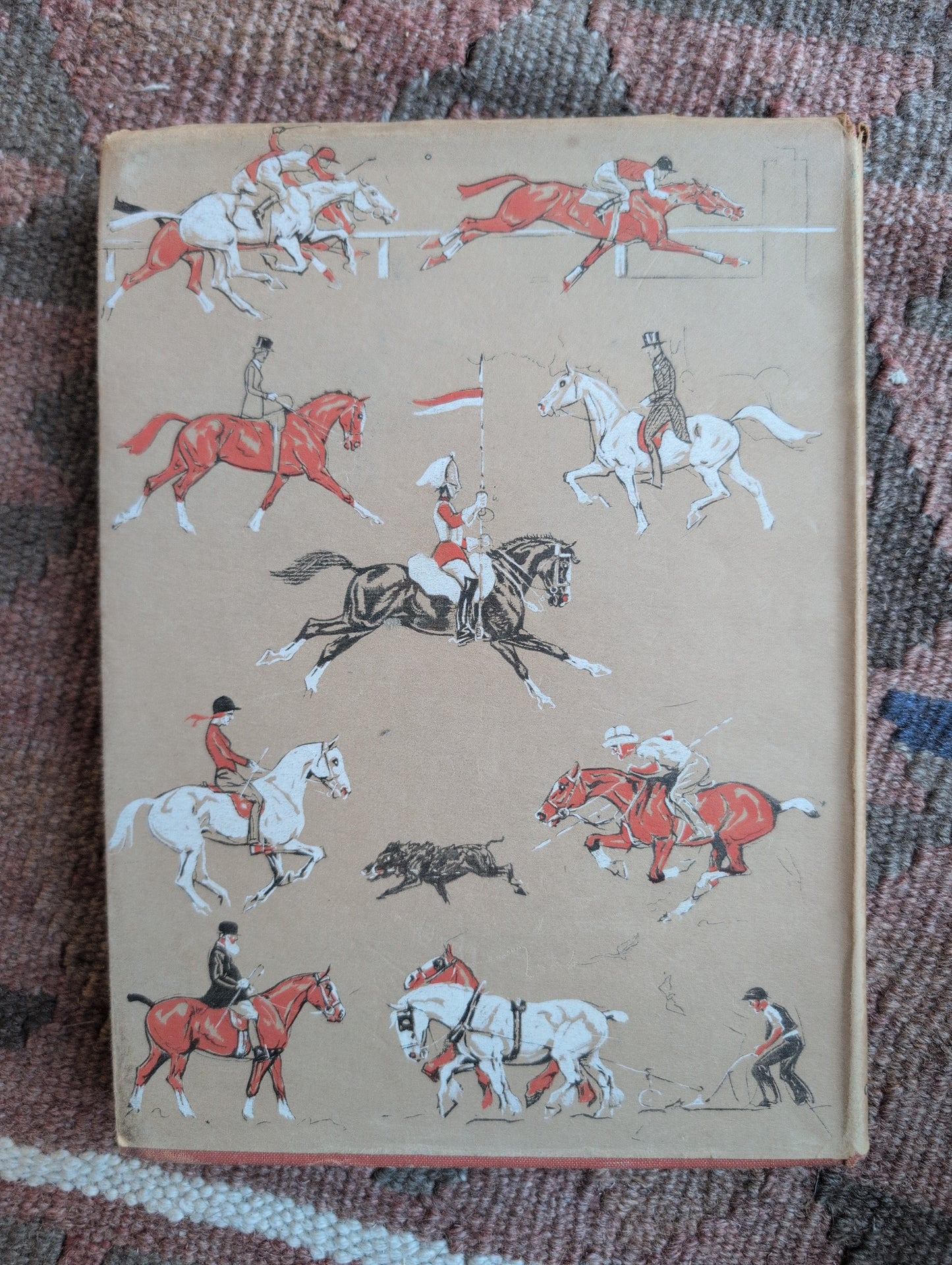 Horse and Pencil