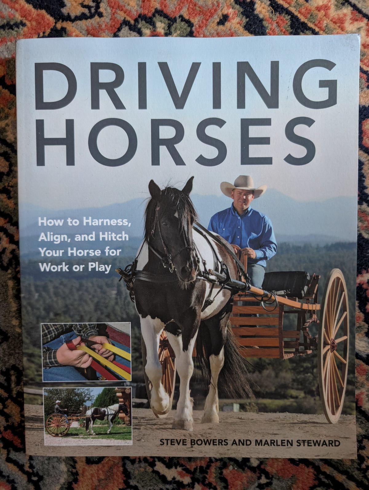 Driving Horses