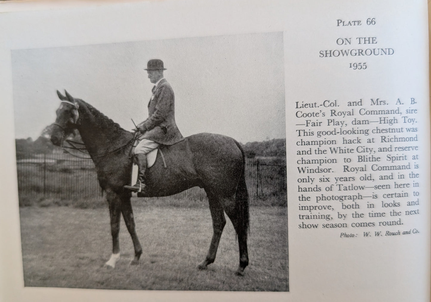 The Horseman's Year (1956)