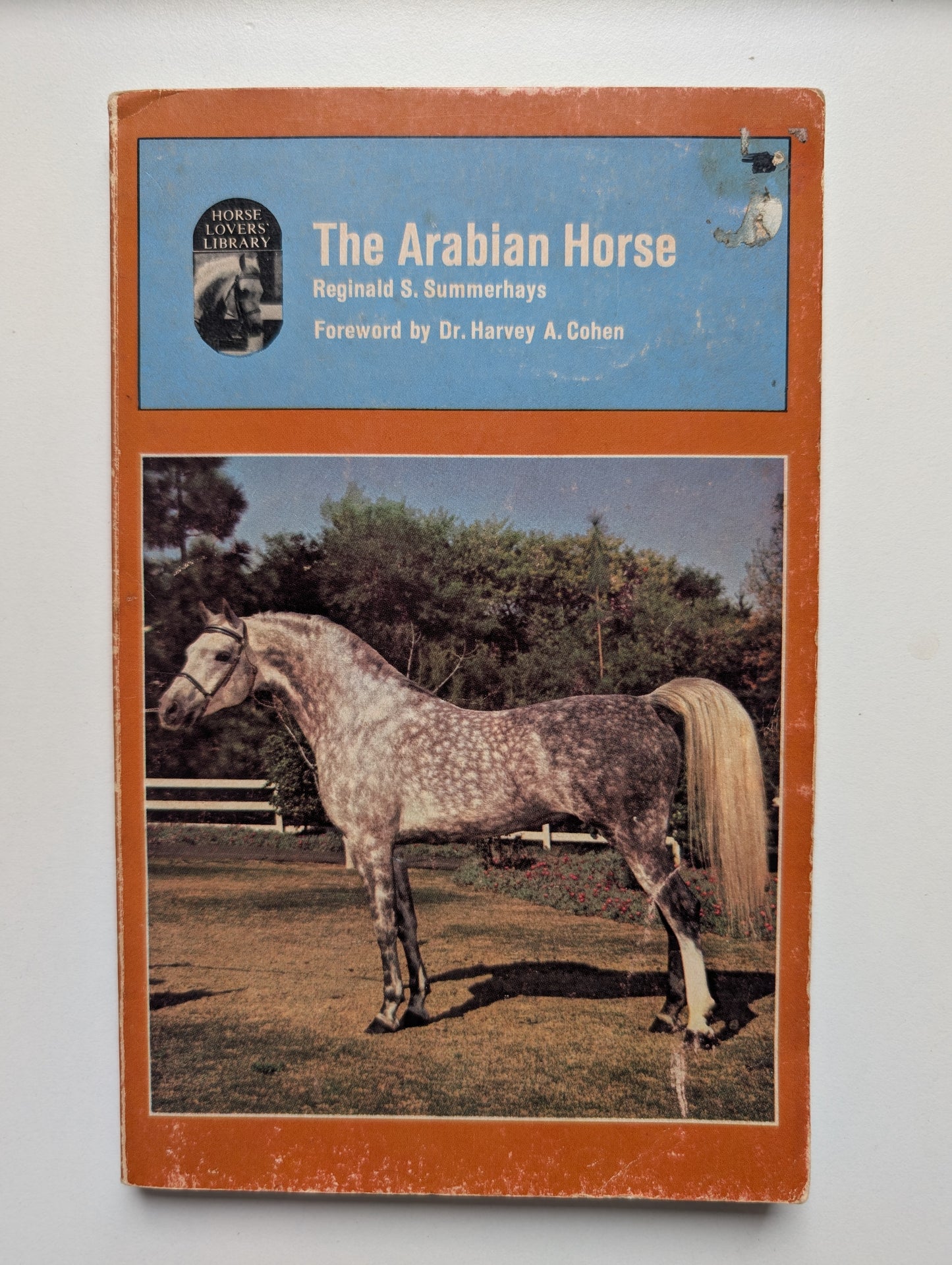 The Arabian Horse