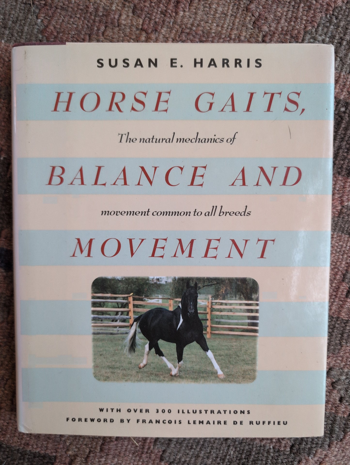 Horse Gaits, Balance and Movement
