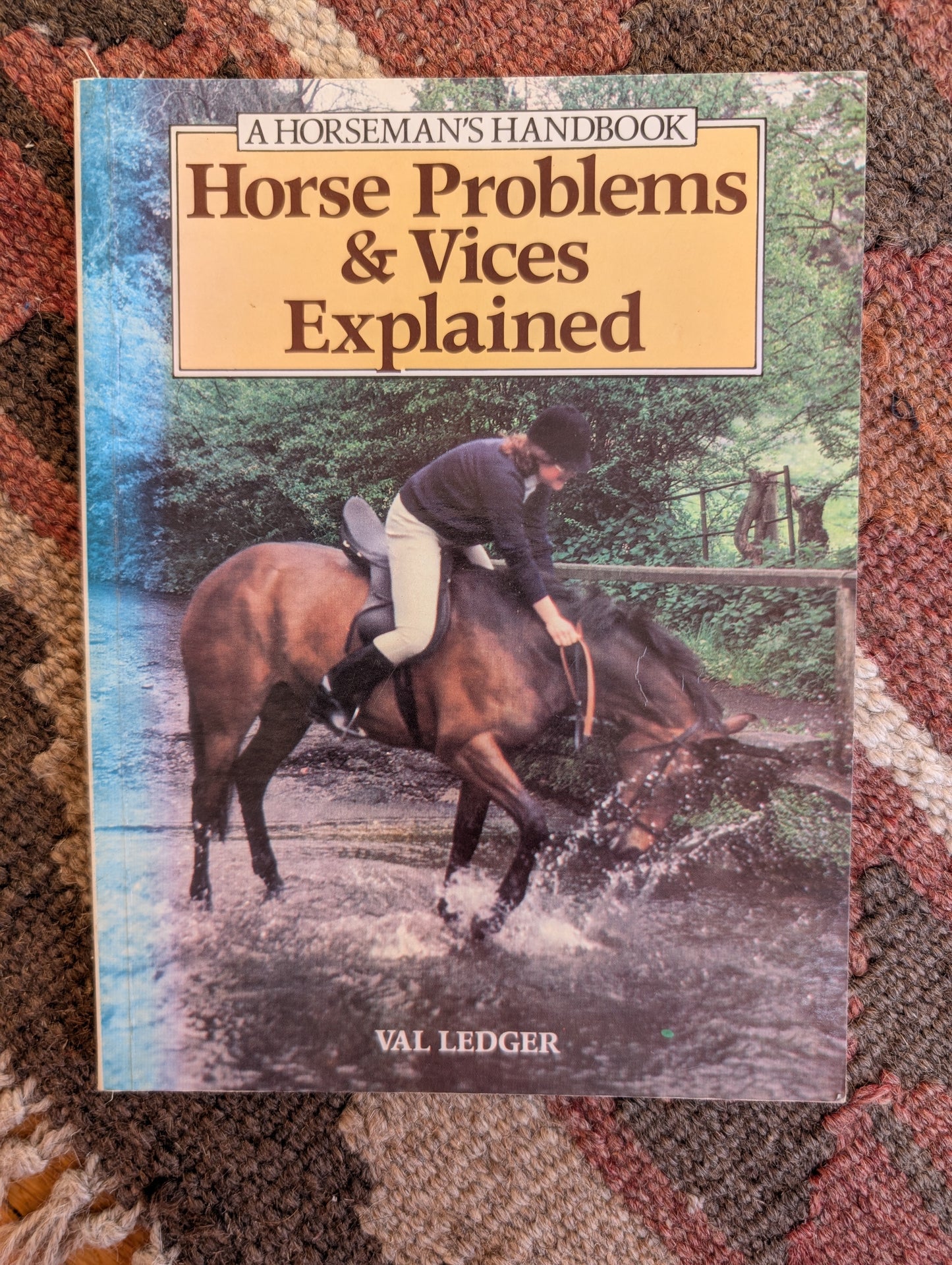 Horse Problems & Vices Explained