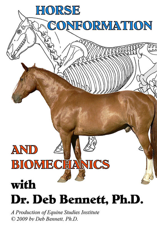 Horse Conformation and Biomechanics (DVD)