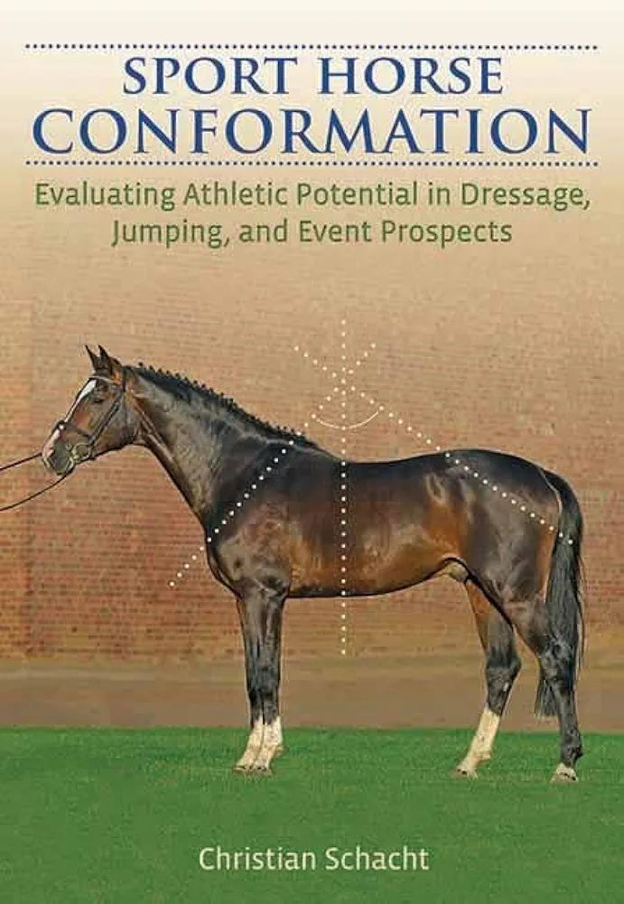 Sport Horse Conformation