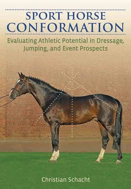 Sport Horse Conformation