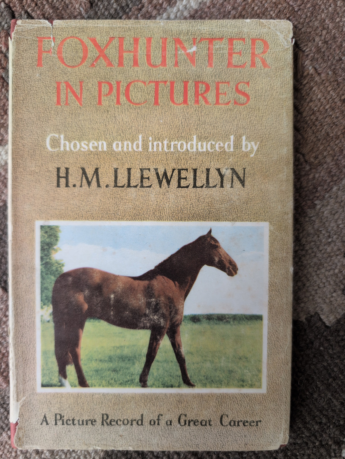 Foxhunter in Pictures
