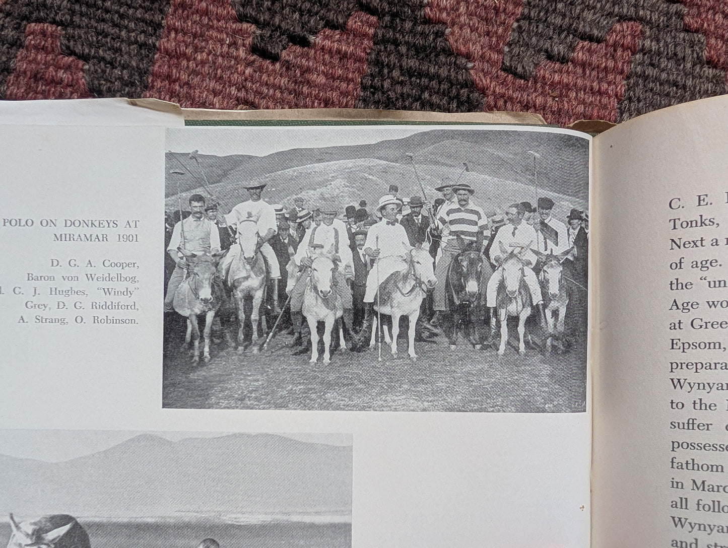 Polo in New Zealand