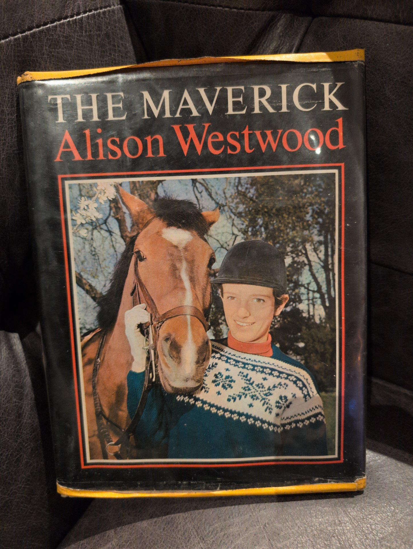 The Maverick