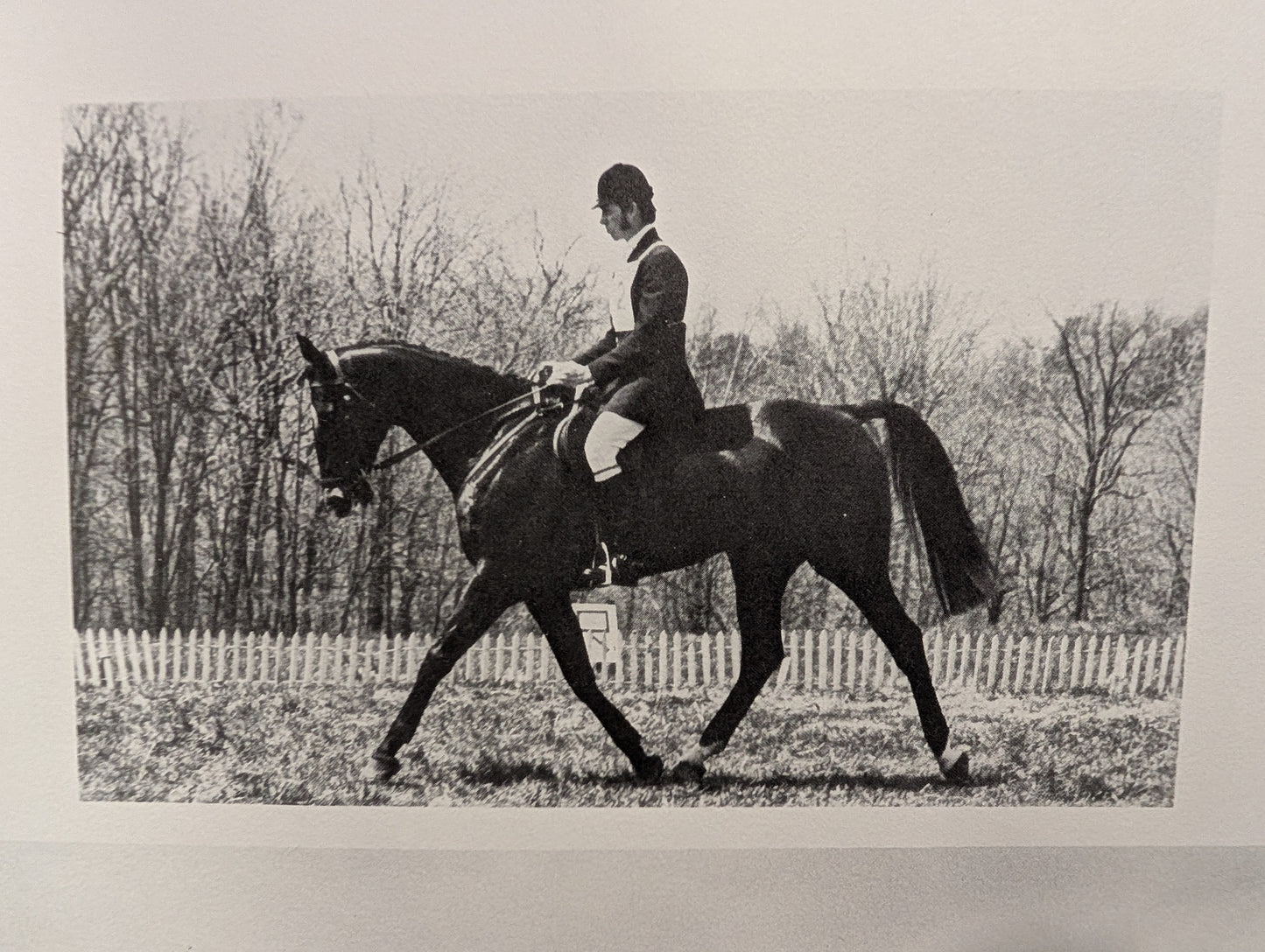 Great Riding Schools of the World