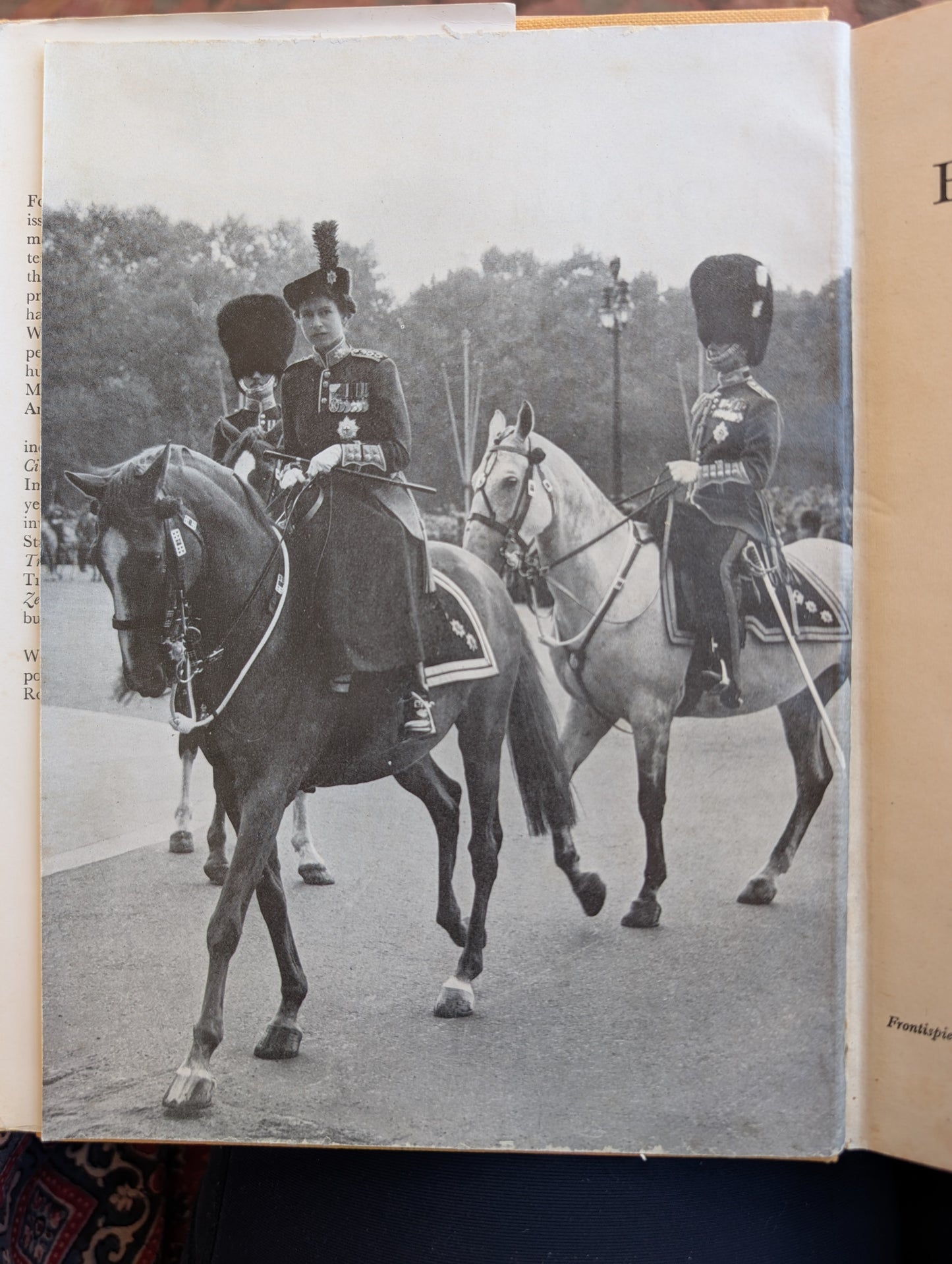 The Horseman's Year (1956)
