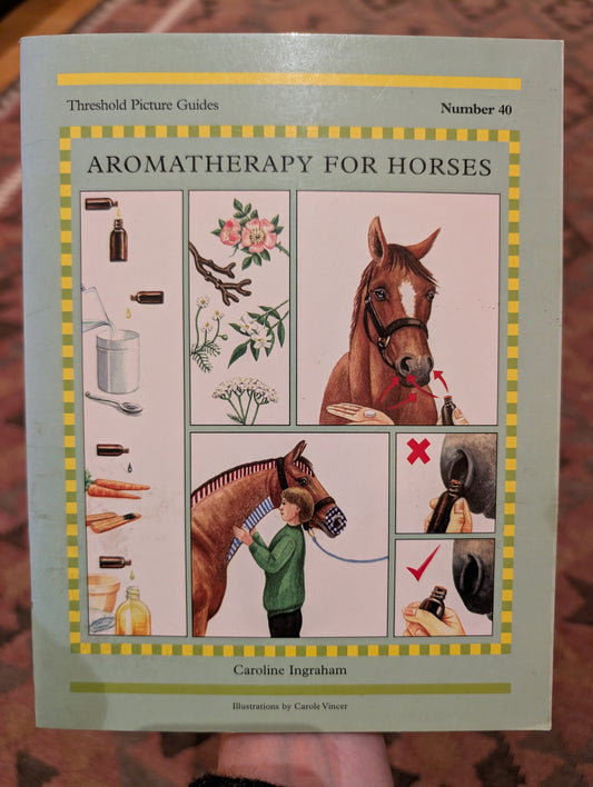 Aromatherapy for Horses