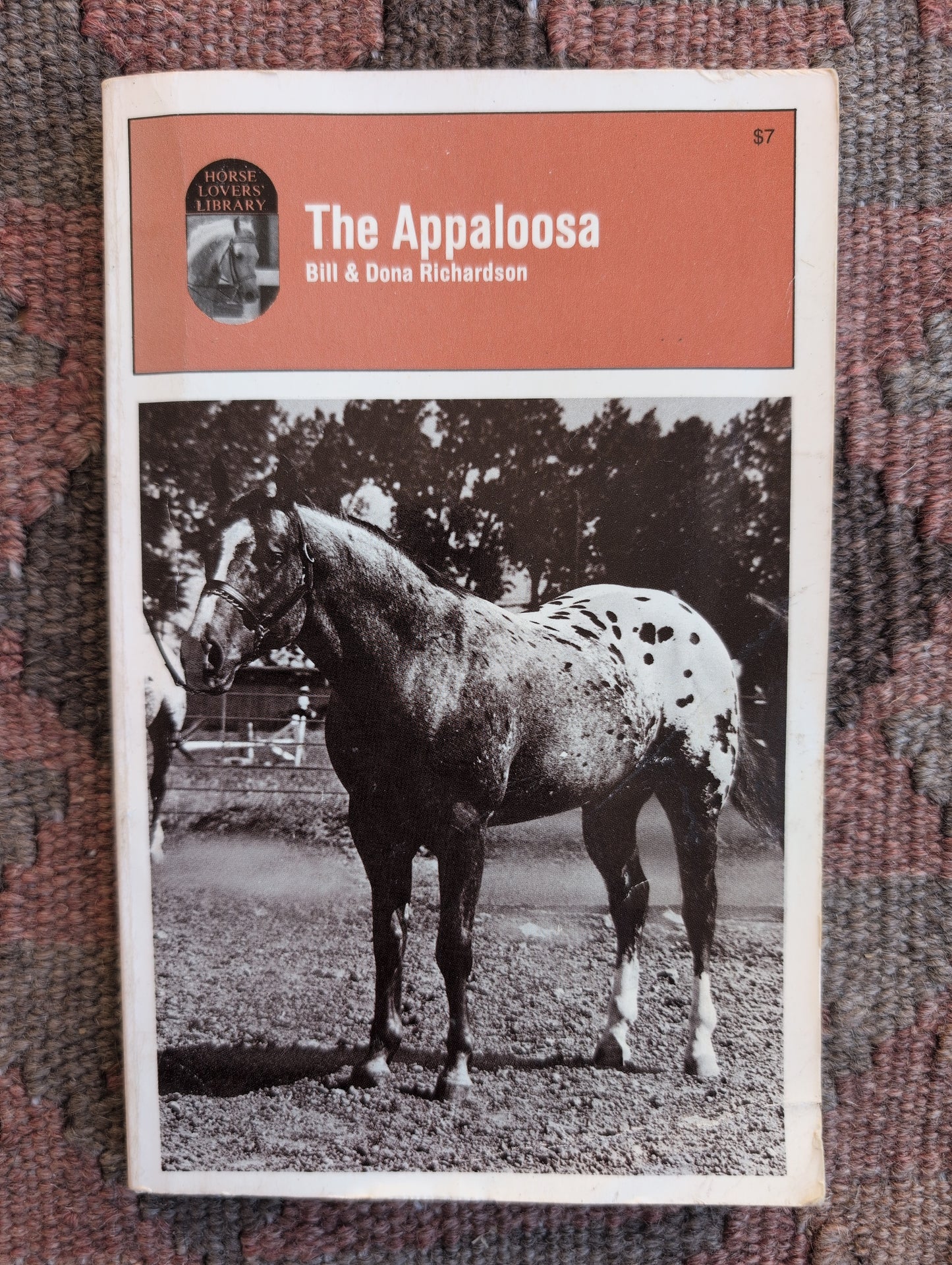The Appaloosa