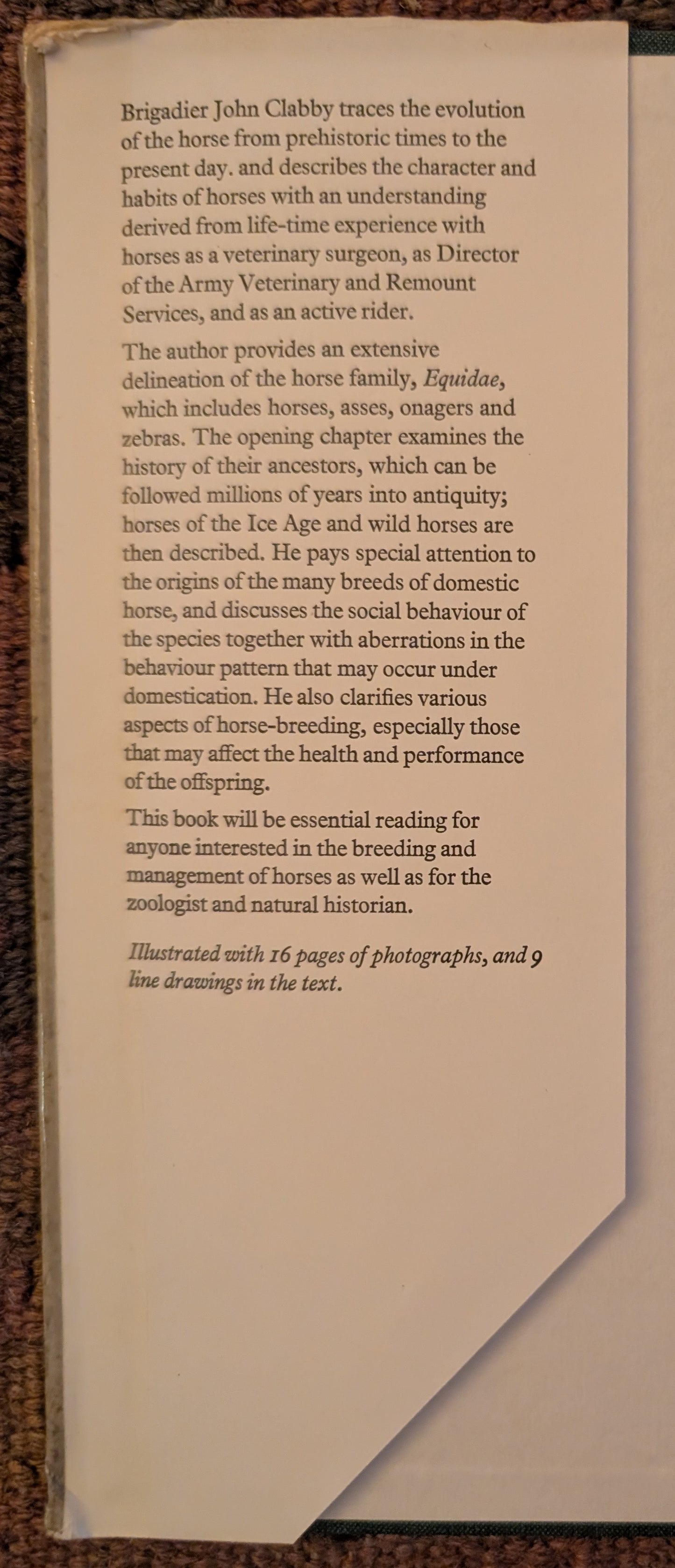 The Natural History of Horses