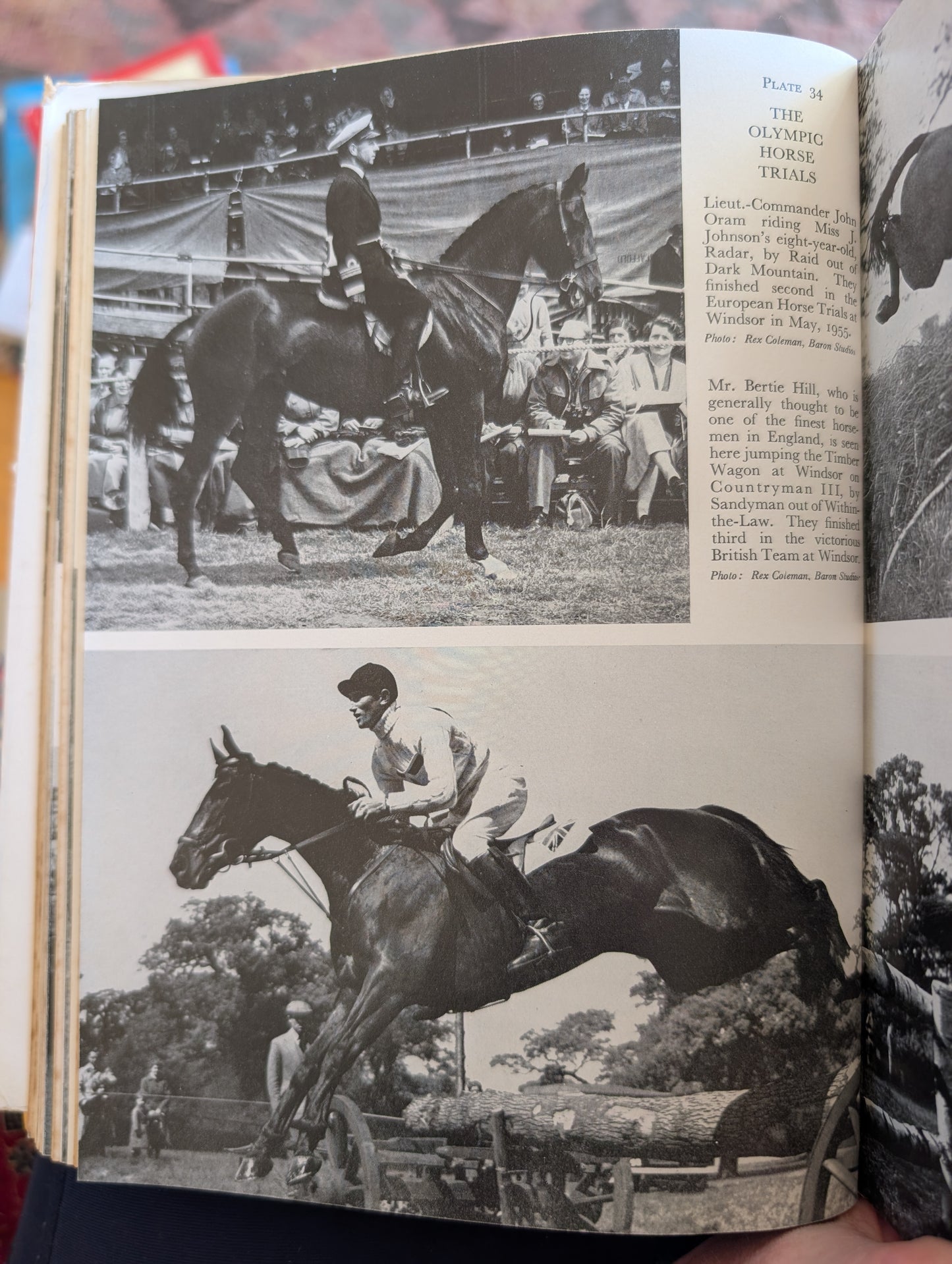The Horseman's Year (1956)