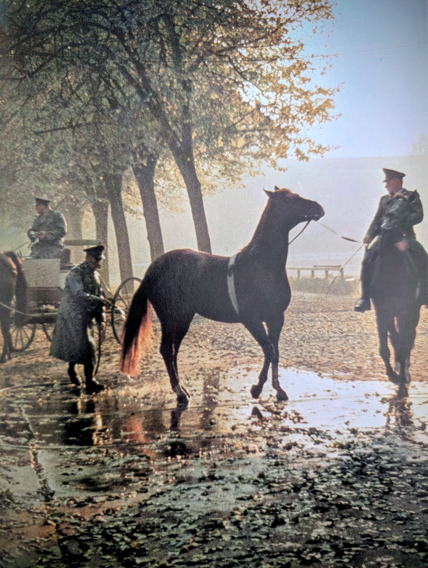 Great Riding Schools of the World