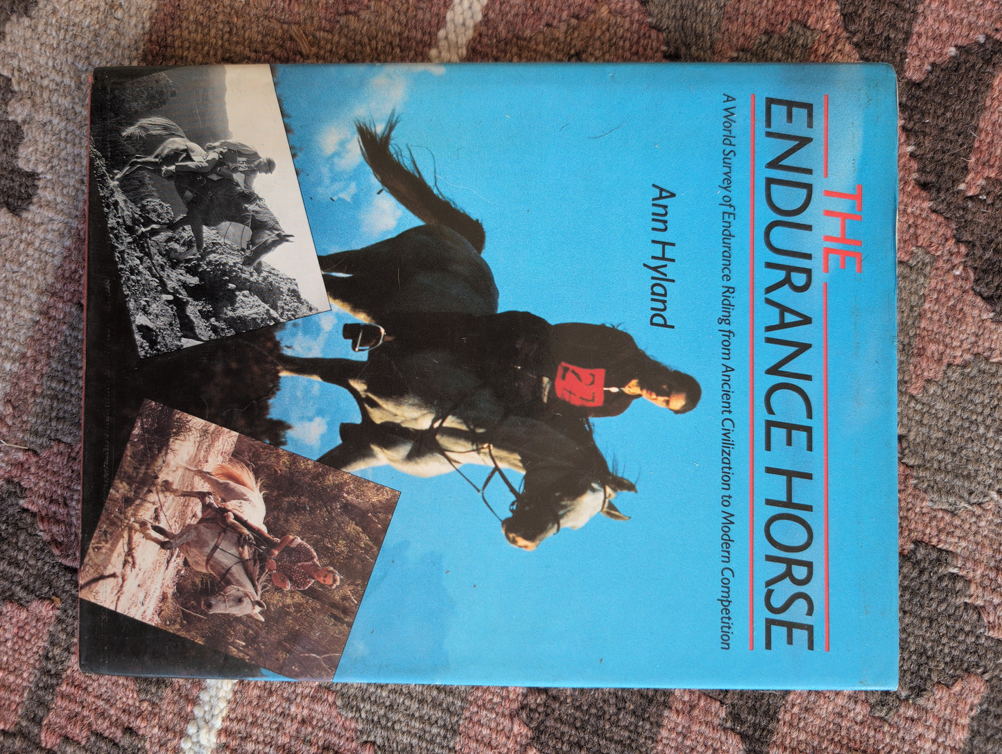 The Endurance Horse