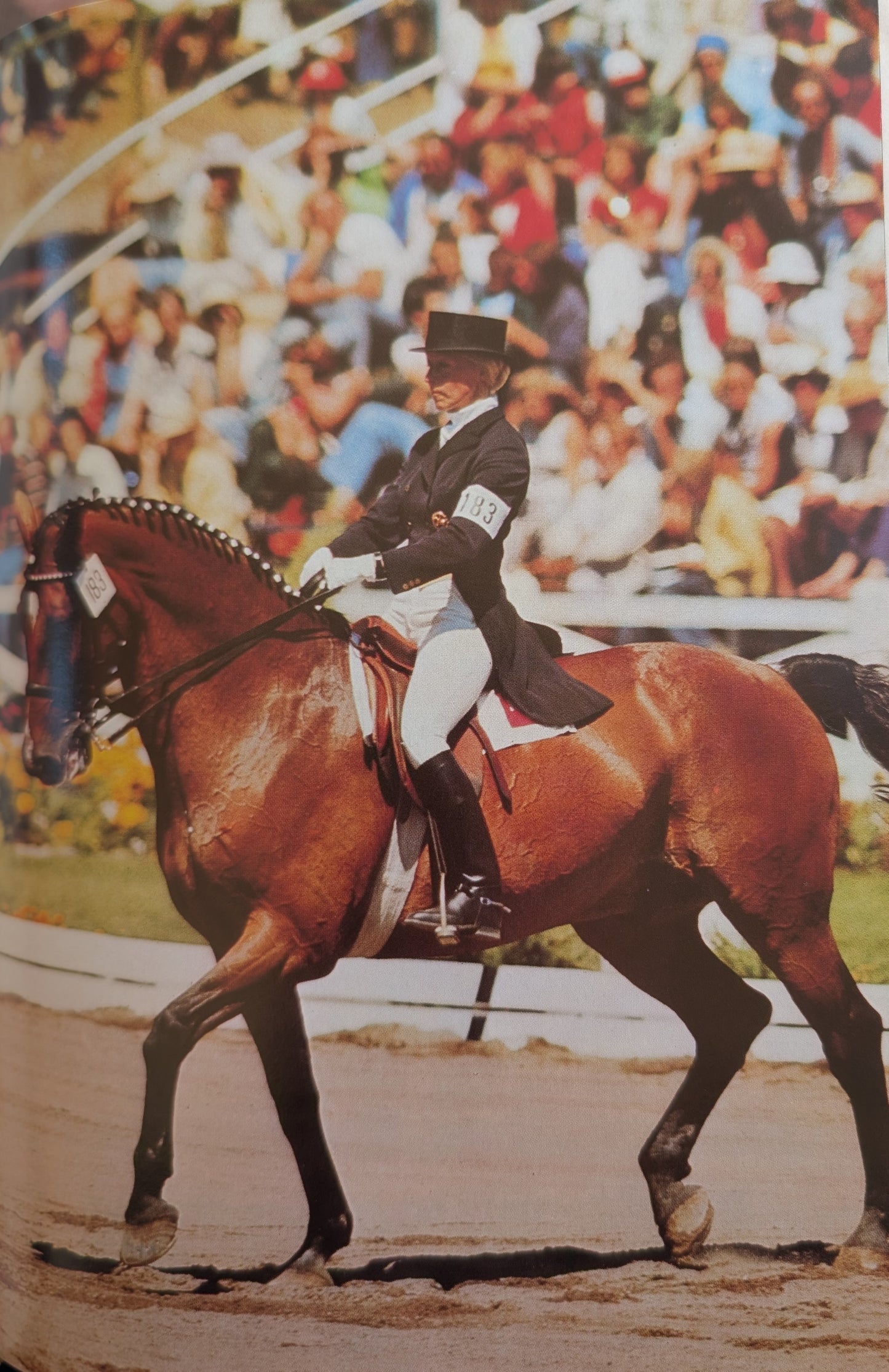 Riding Annual (1978)