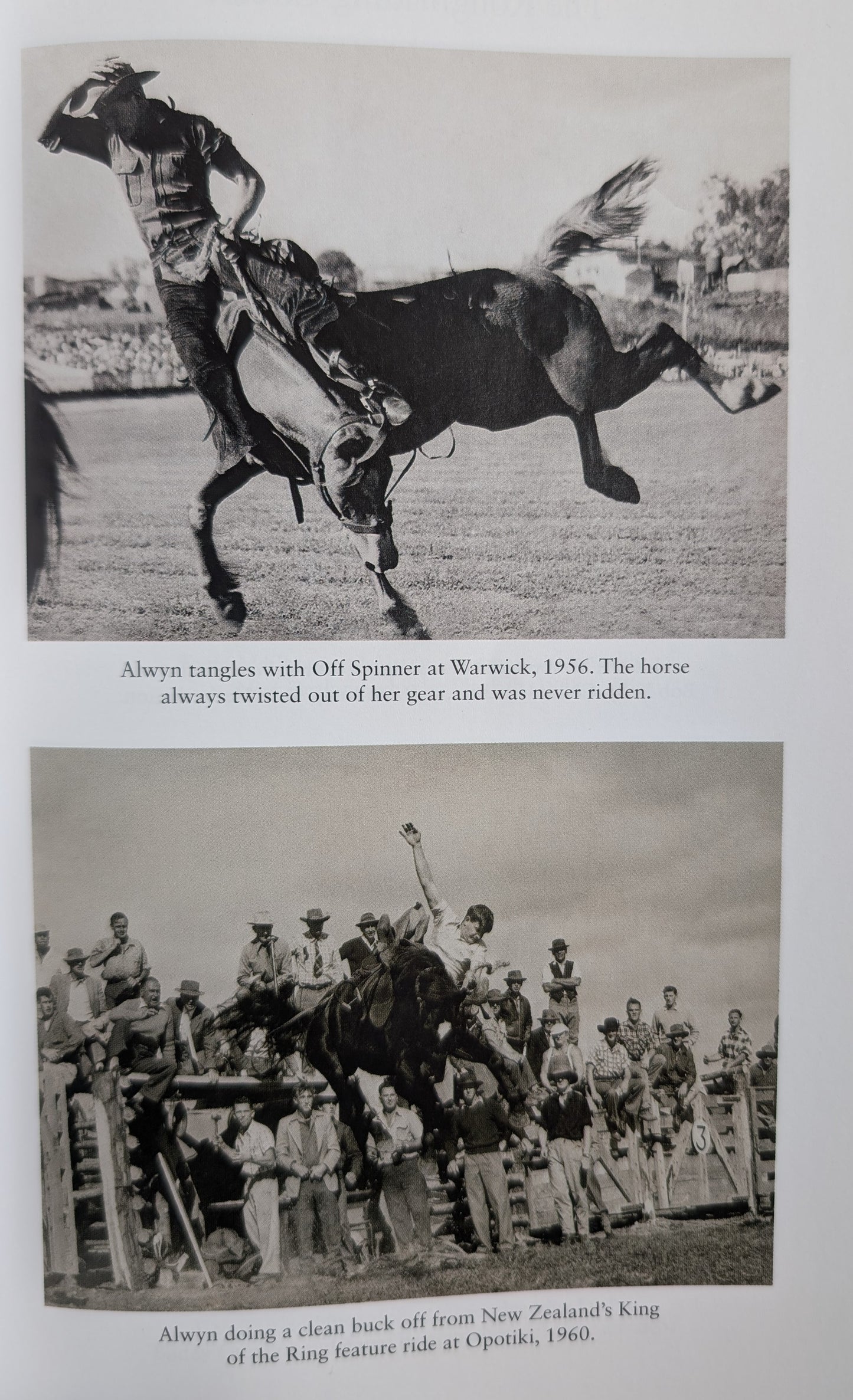 Life in the Saddle