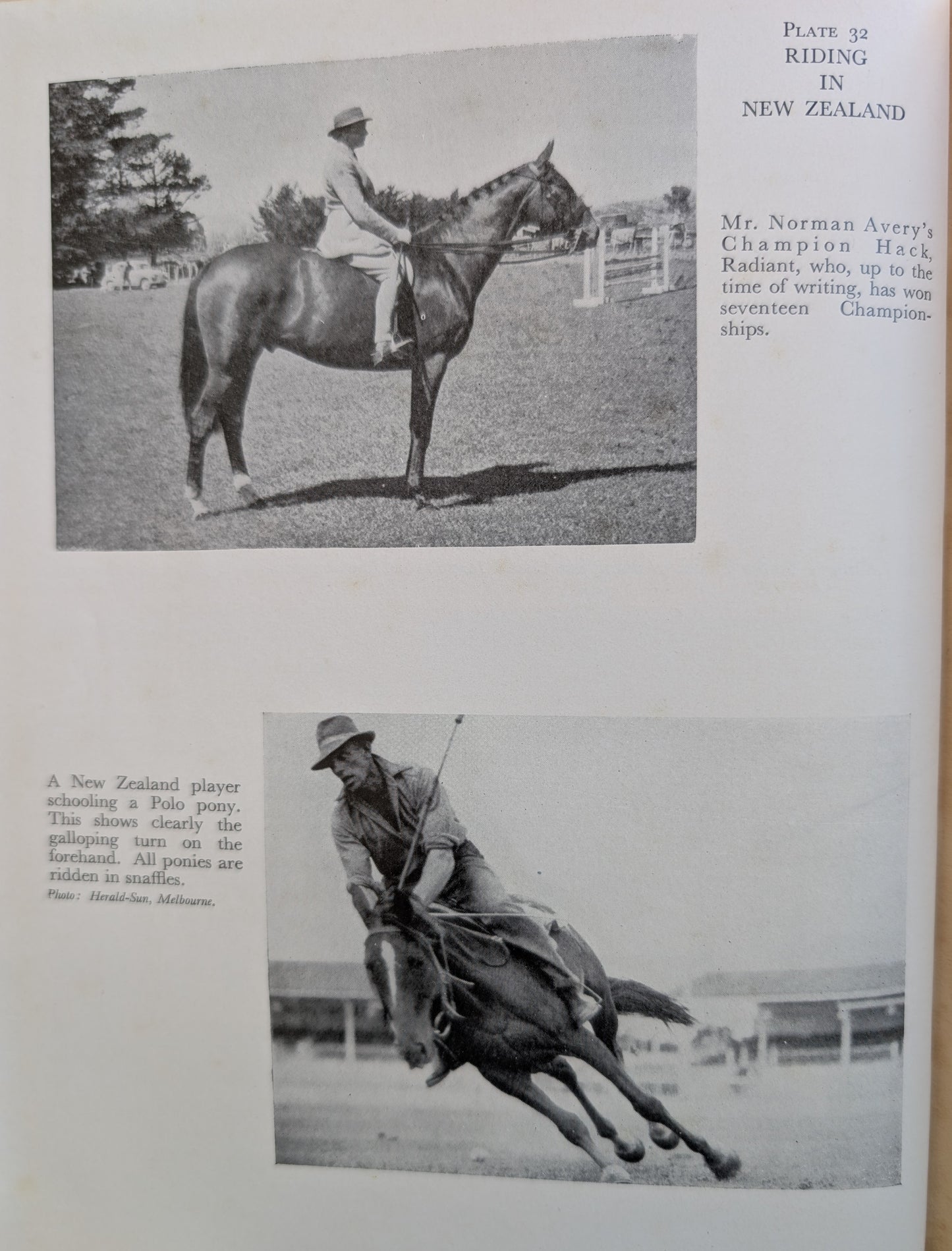 The Horseman's Year (1956)