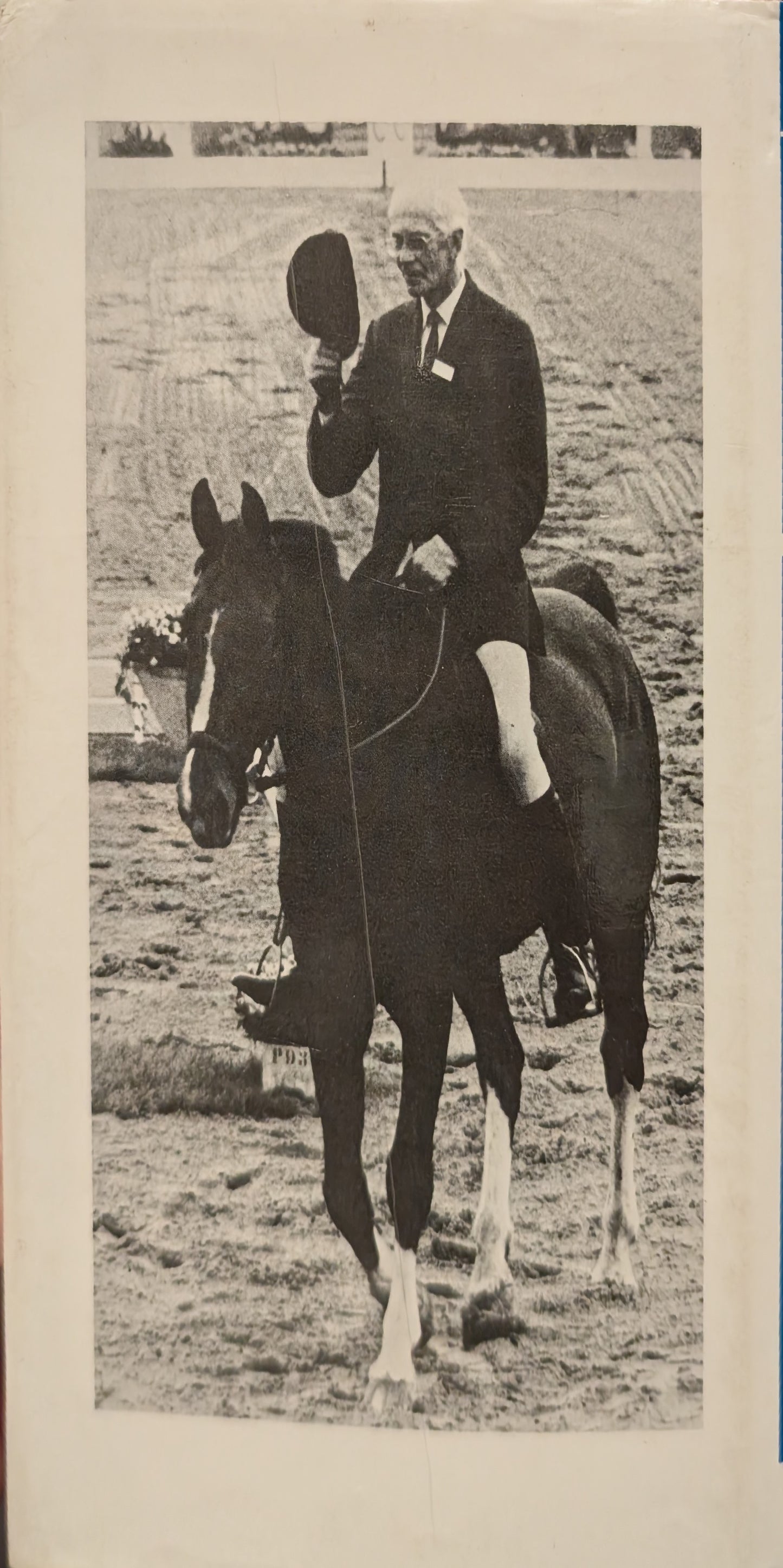 Dressage an Introduction
