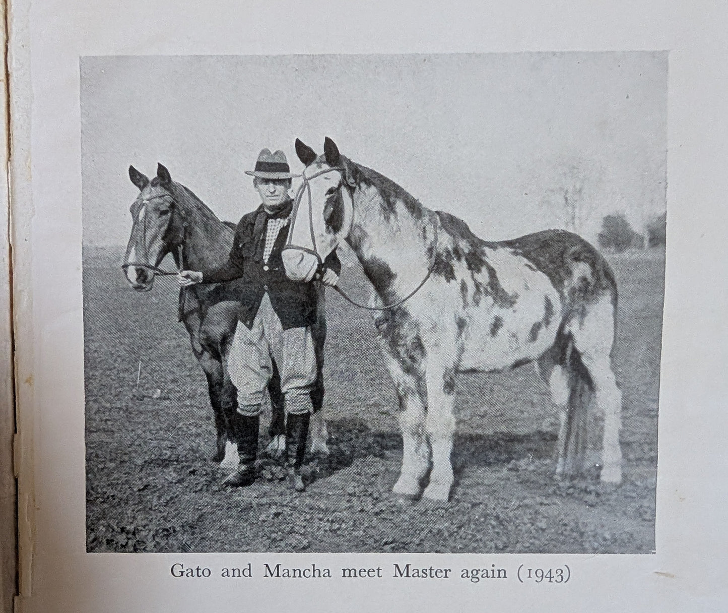 The Tale of Two Horses