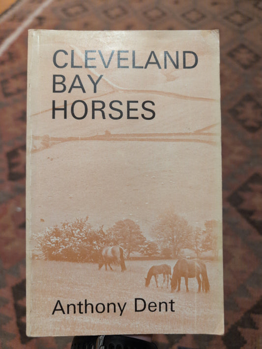 Cleveland Bay Horses