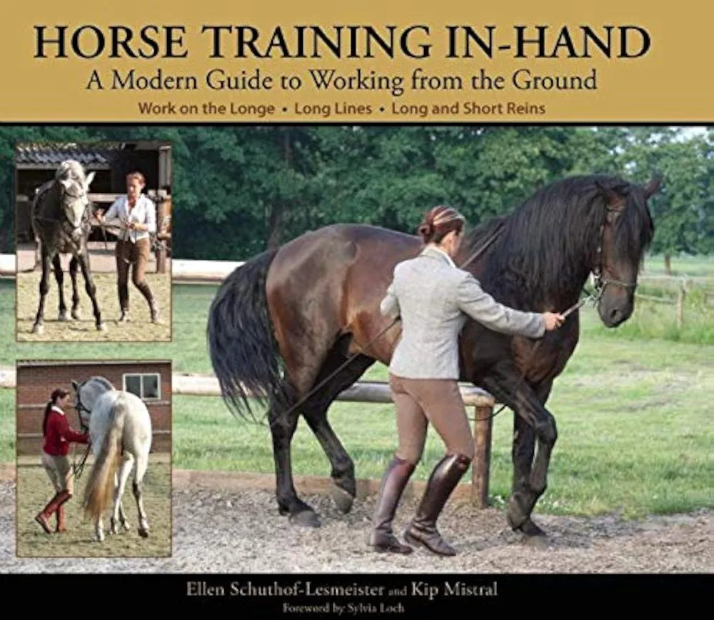 Horse Training In-Hand