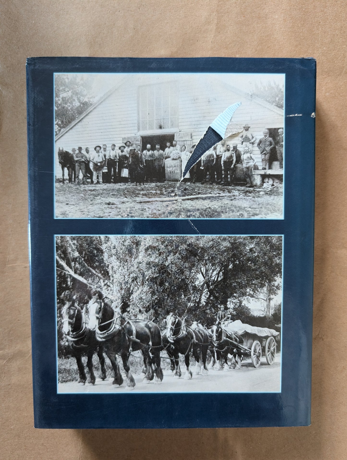 Blue Cliffs: The Biography of a South Canterbury Sheep Station 1856-1970