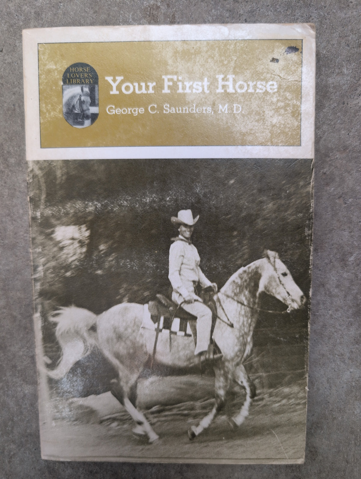 Your First Horse