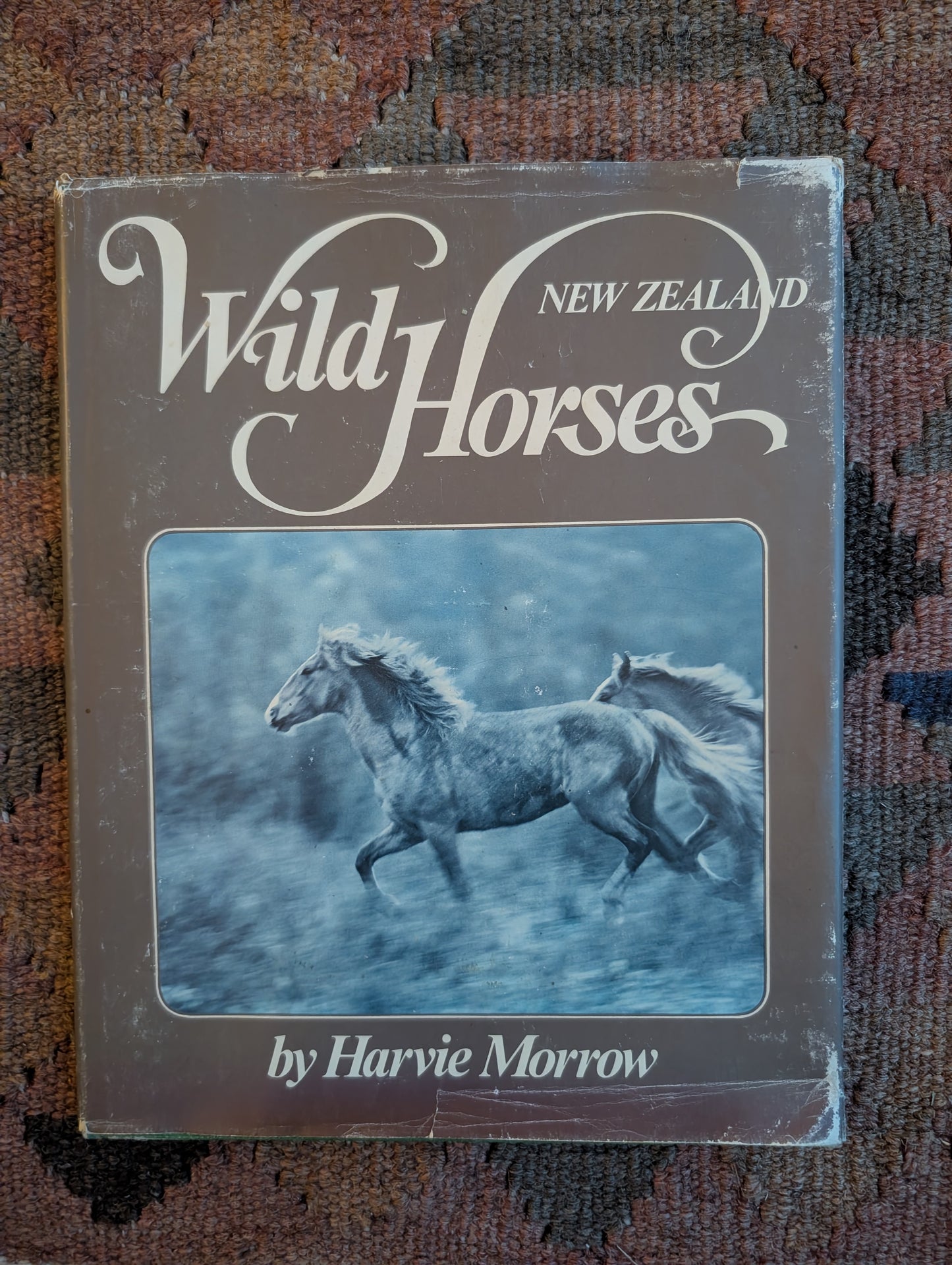 New Zealand Wild Horses