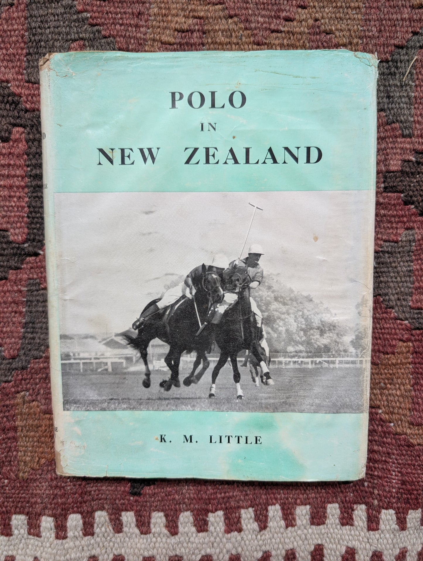 Polo in New Zealand