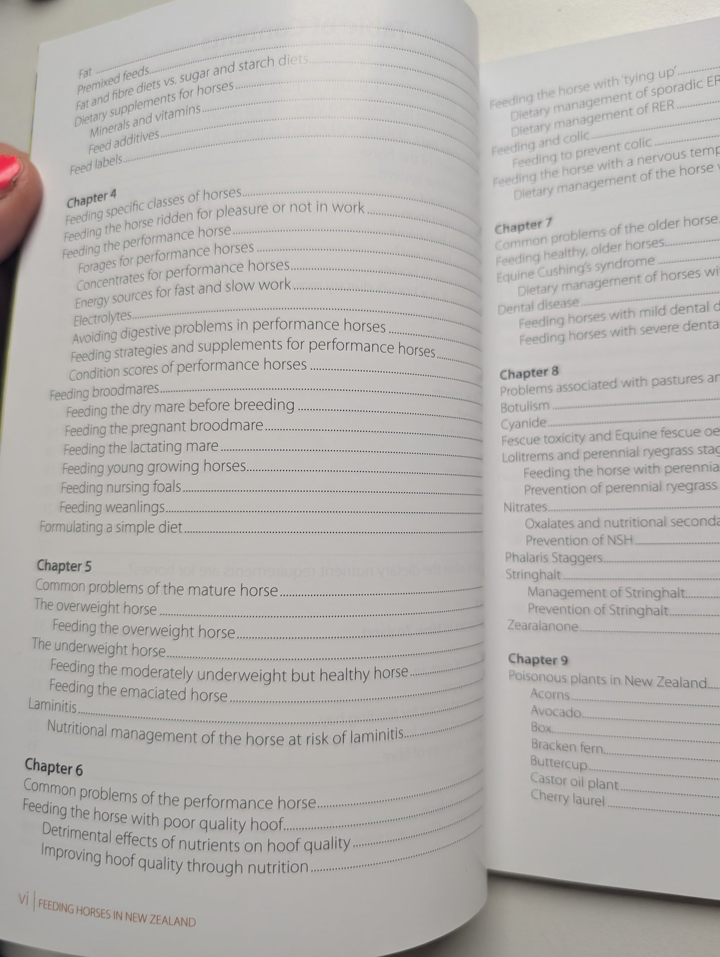 Feeding Horses in New Zealand