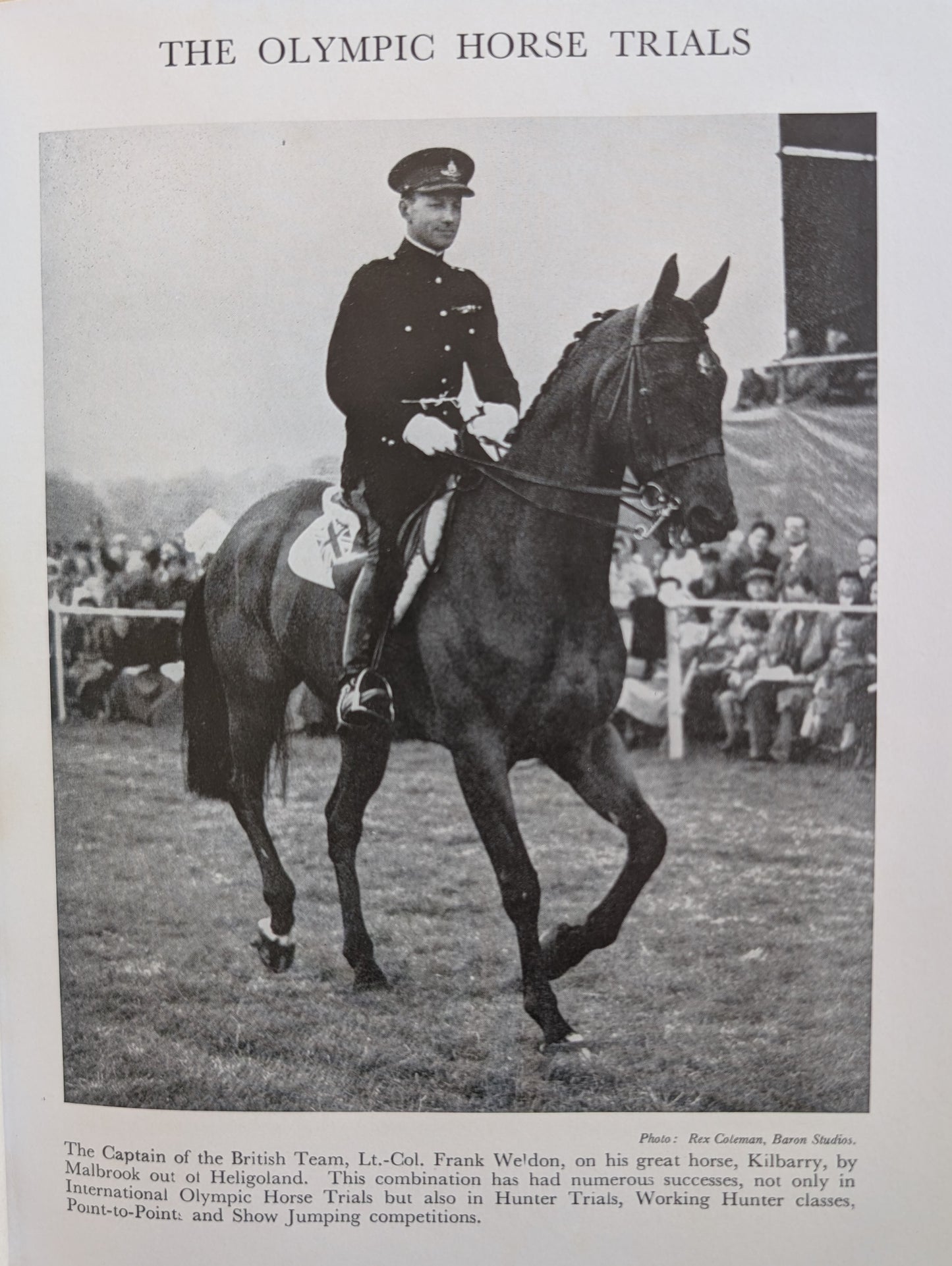 The Horseman's Year (1956)