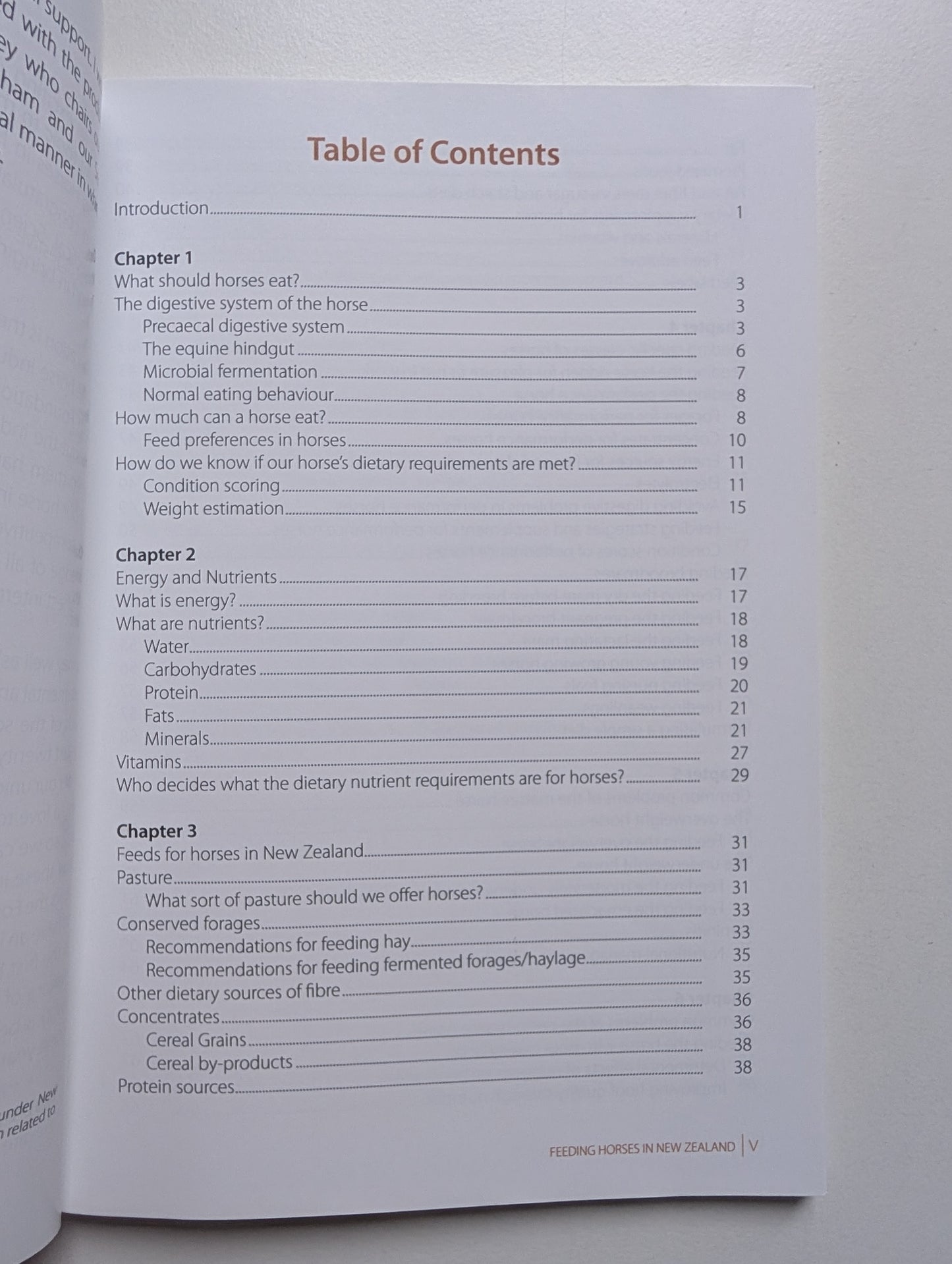 Feeding Horses in New Zealand