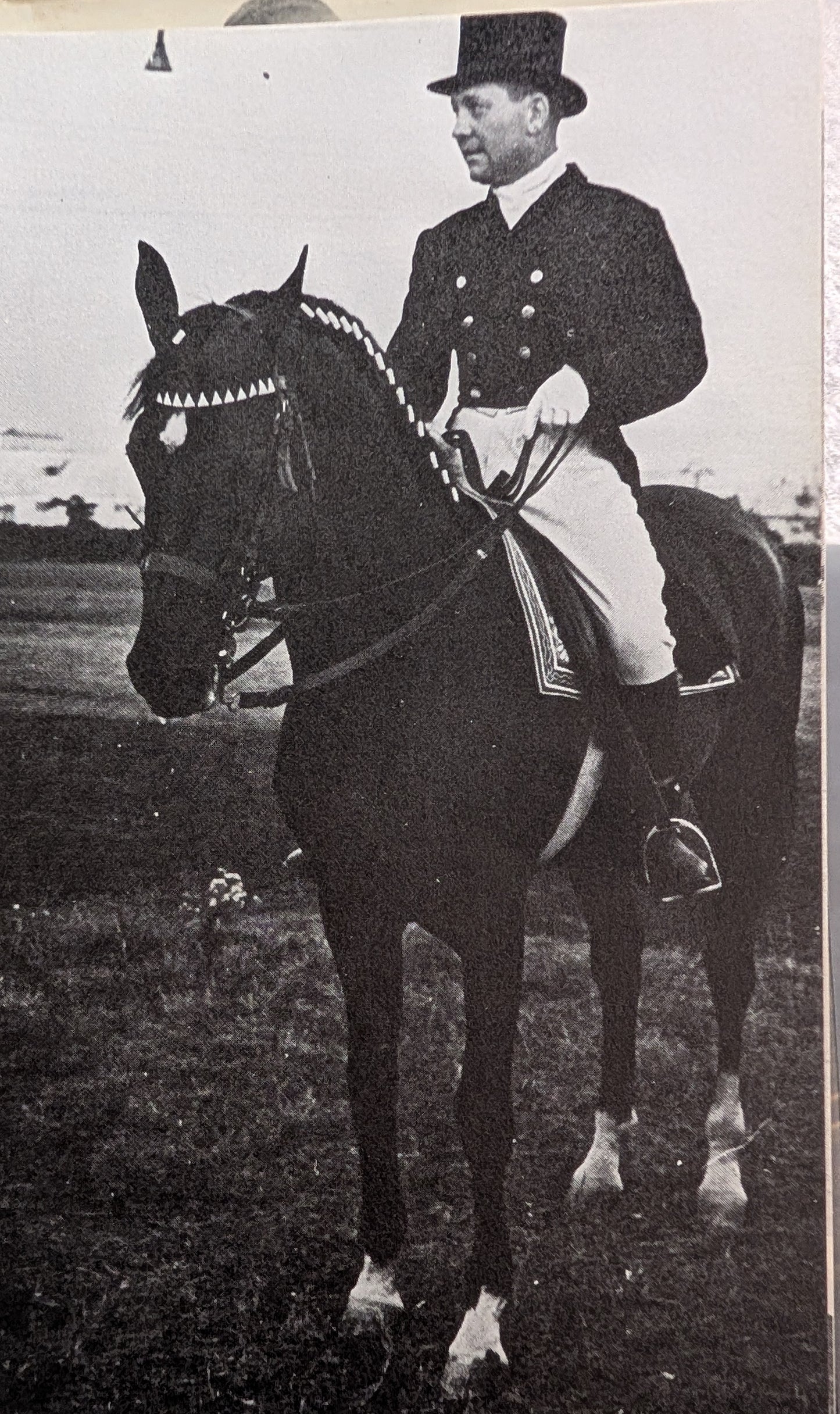 Great Riding Schools of the World