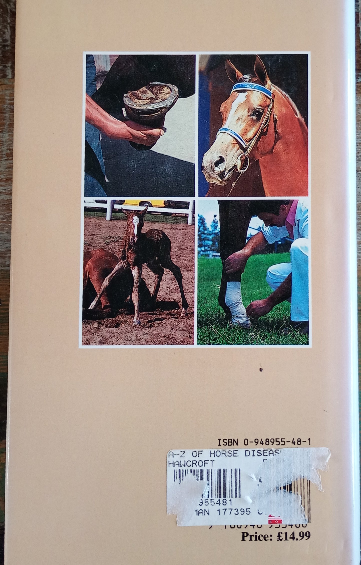 A-Z of Horse Diseases & Health Problems