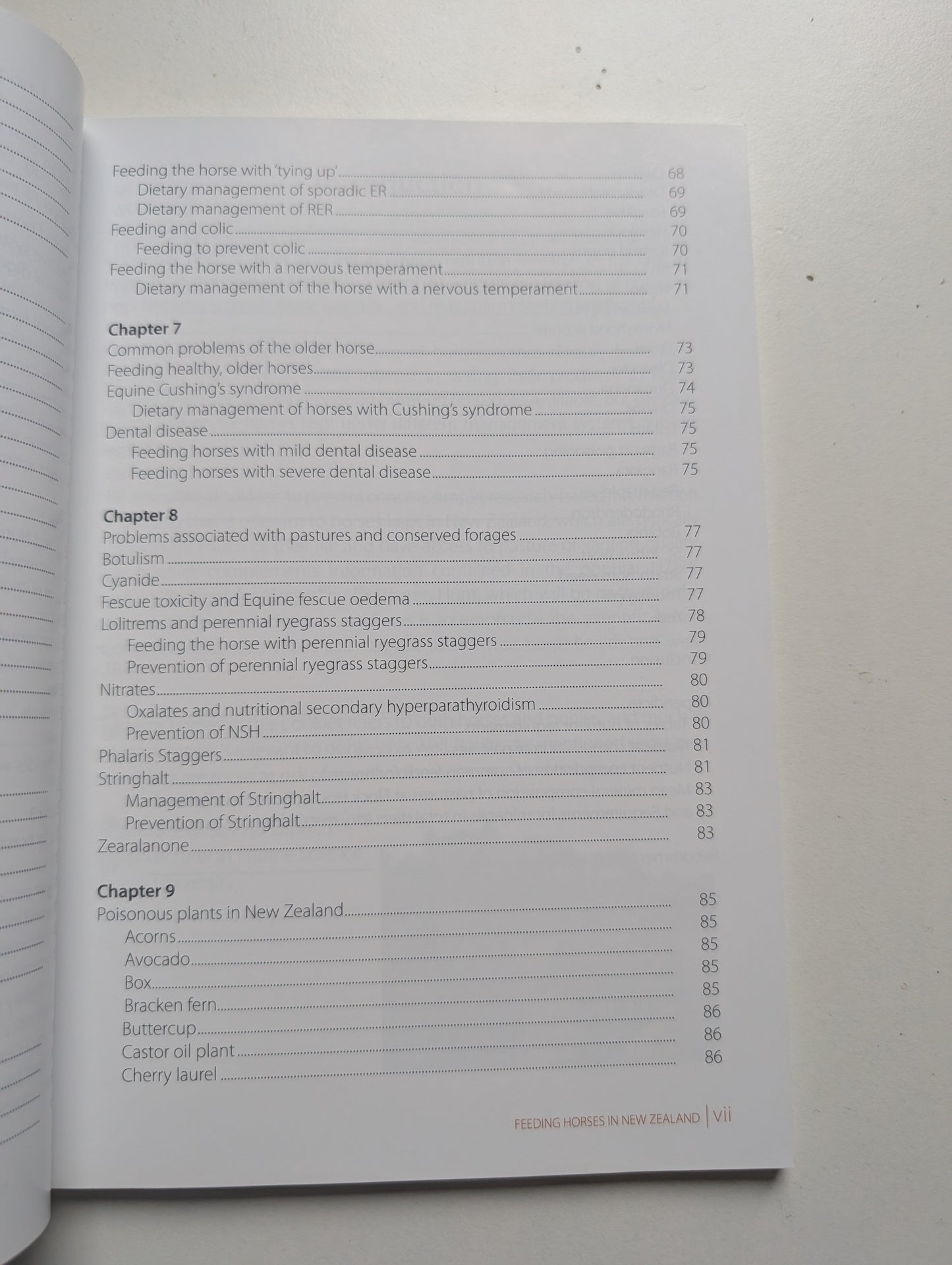 Feeding Horses in New Zealand